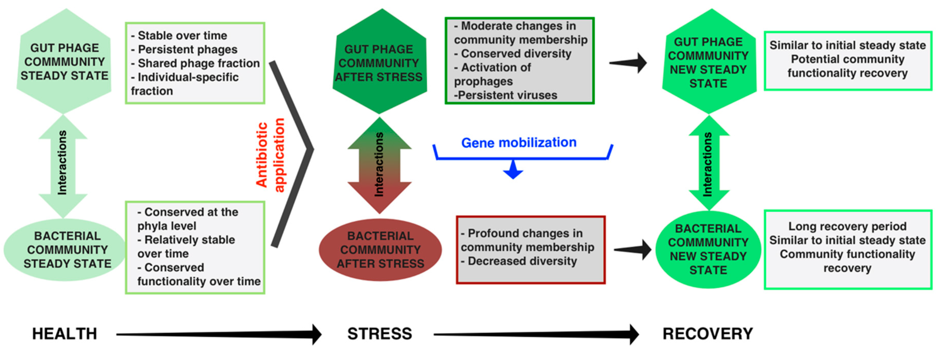 Viruses 09 00141 g005