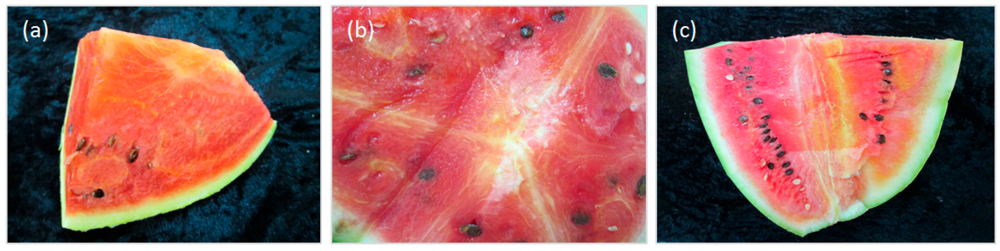 Viruses 09 00311 g001