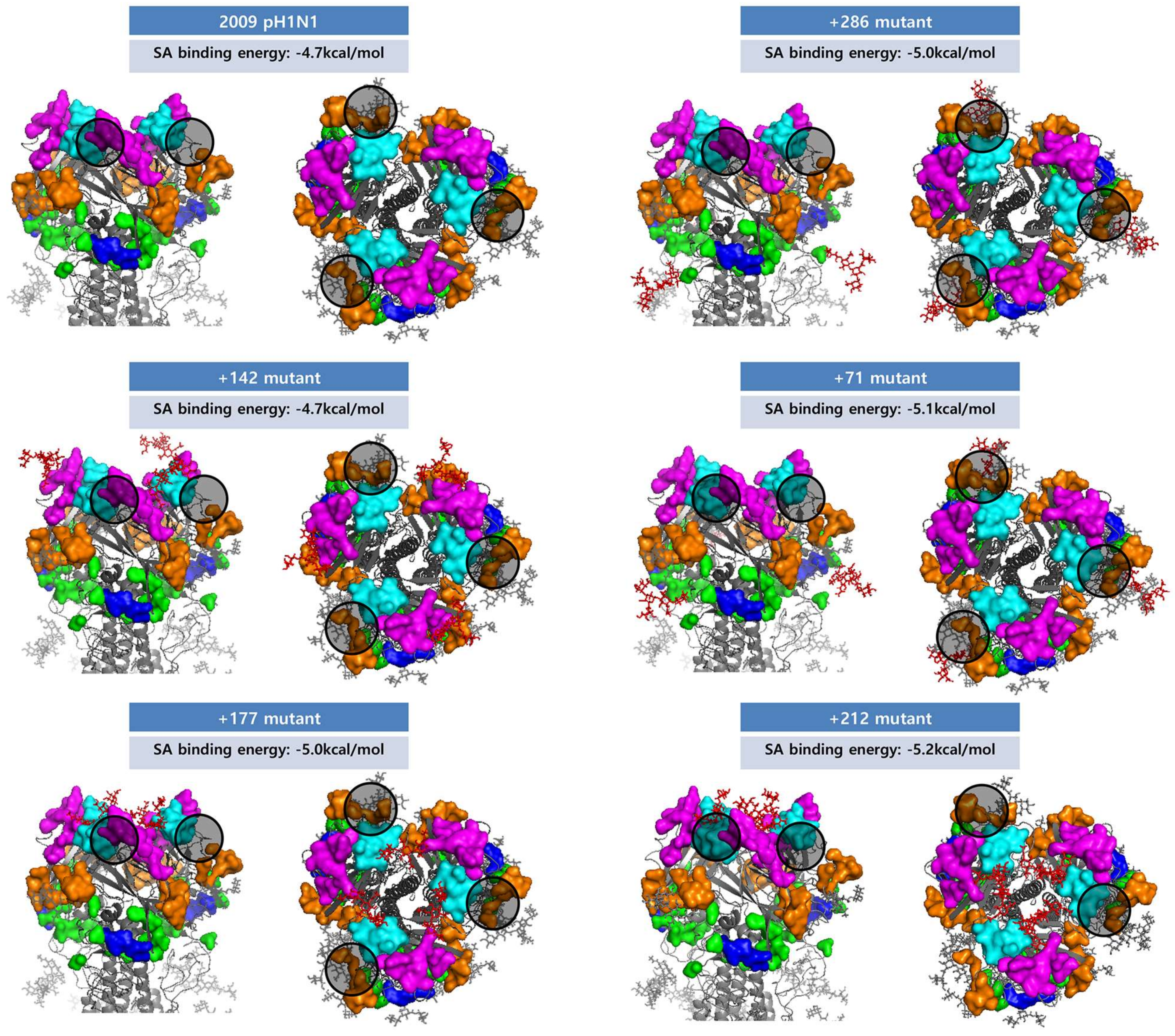 Viruses 10 00183 g008