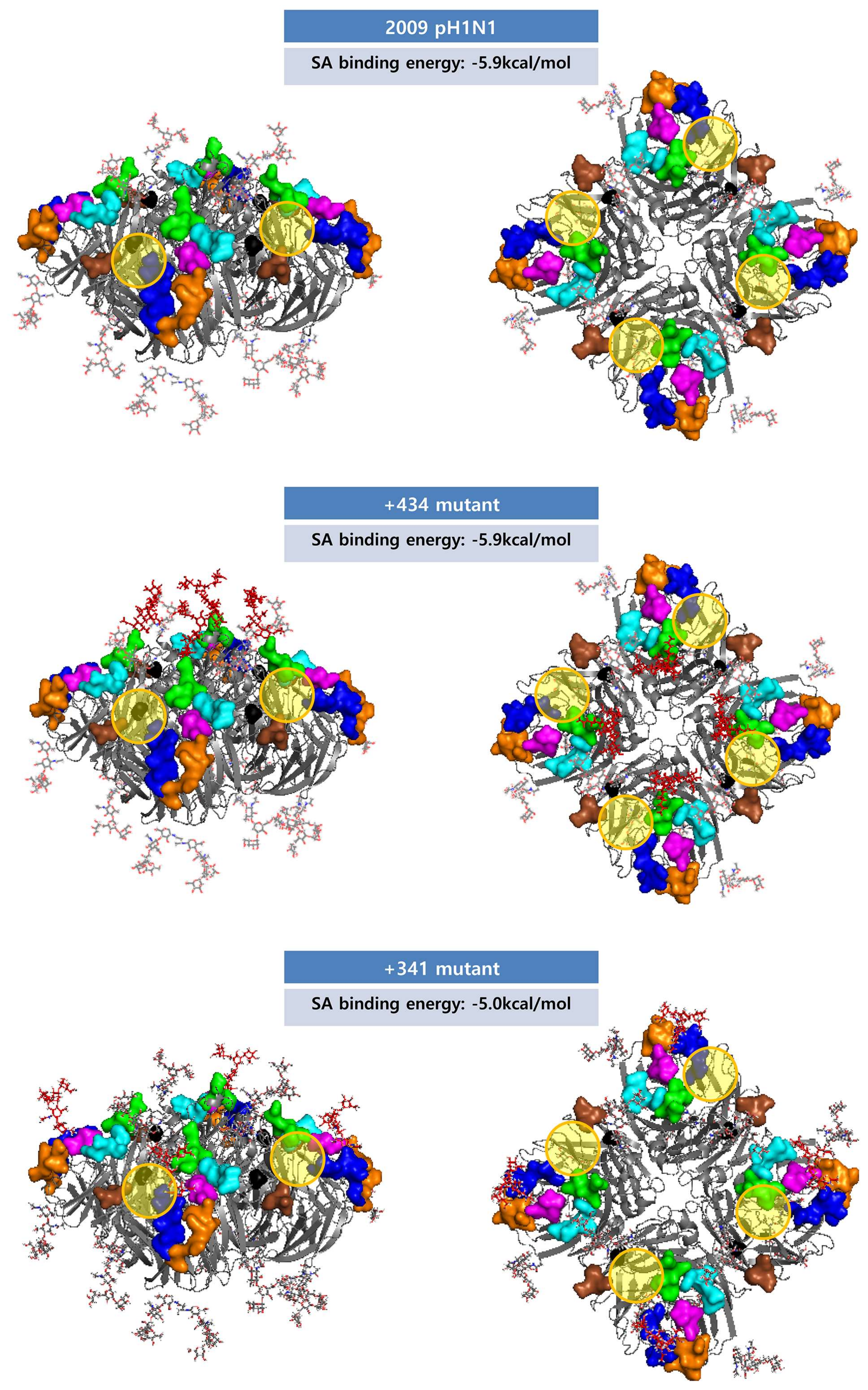 Viruses 10 00183 g009