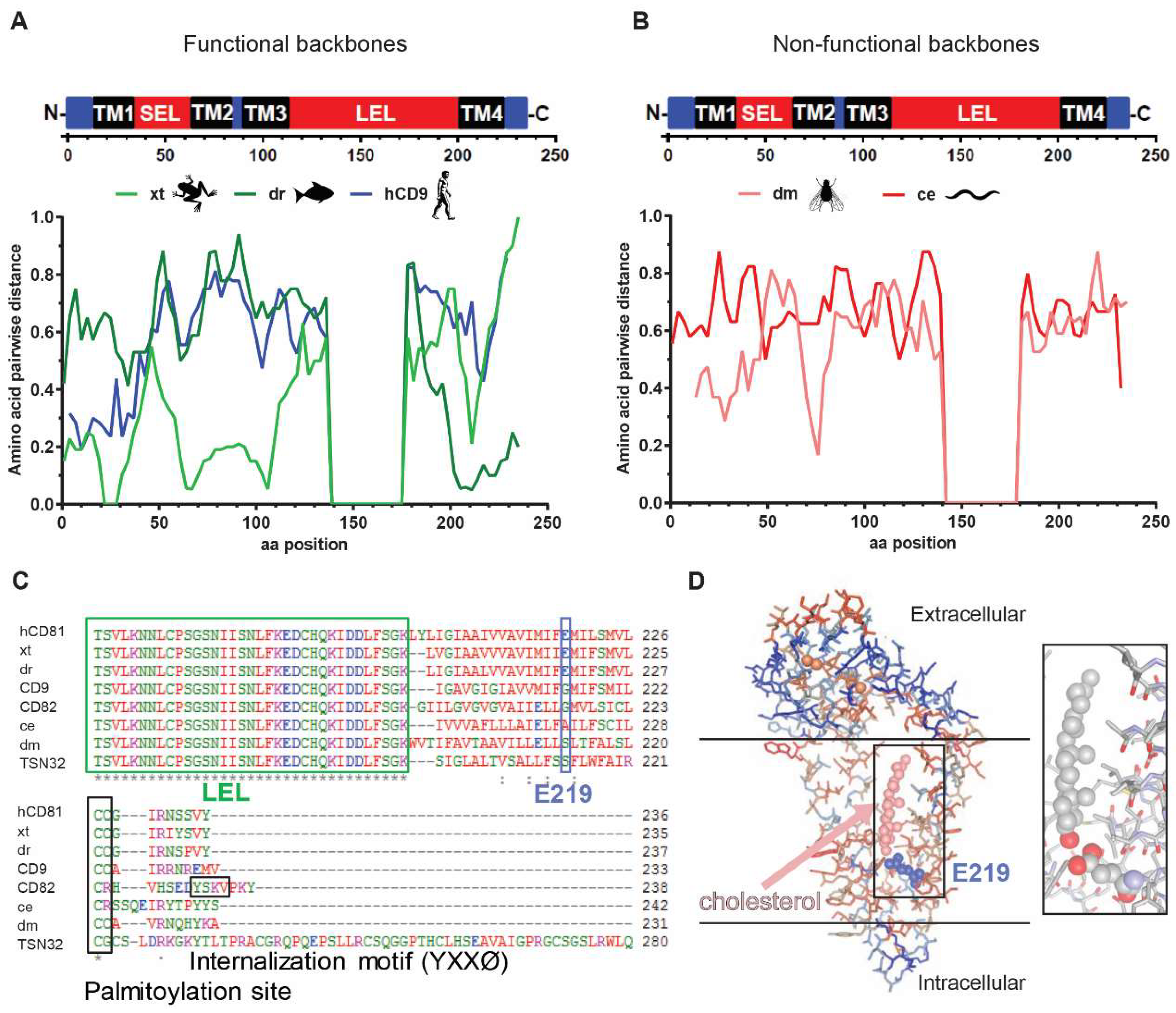 Viruses 10 00207 g008a