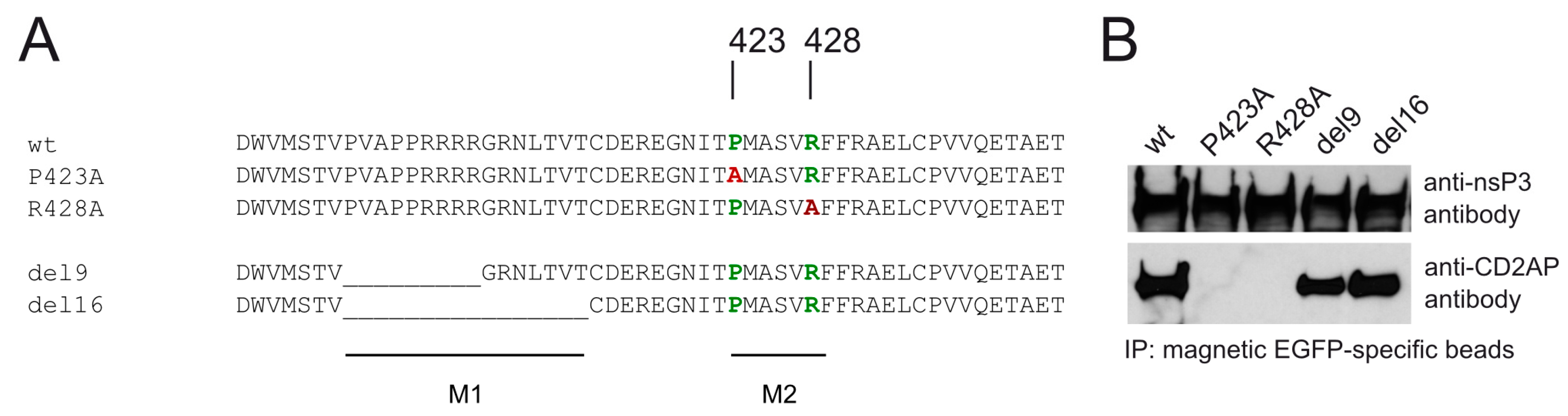 Viruses 10 00226 g002