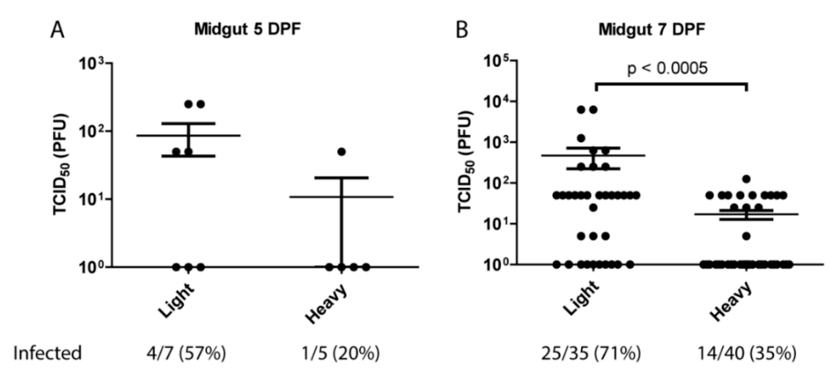 Viruses 10 00263 g002