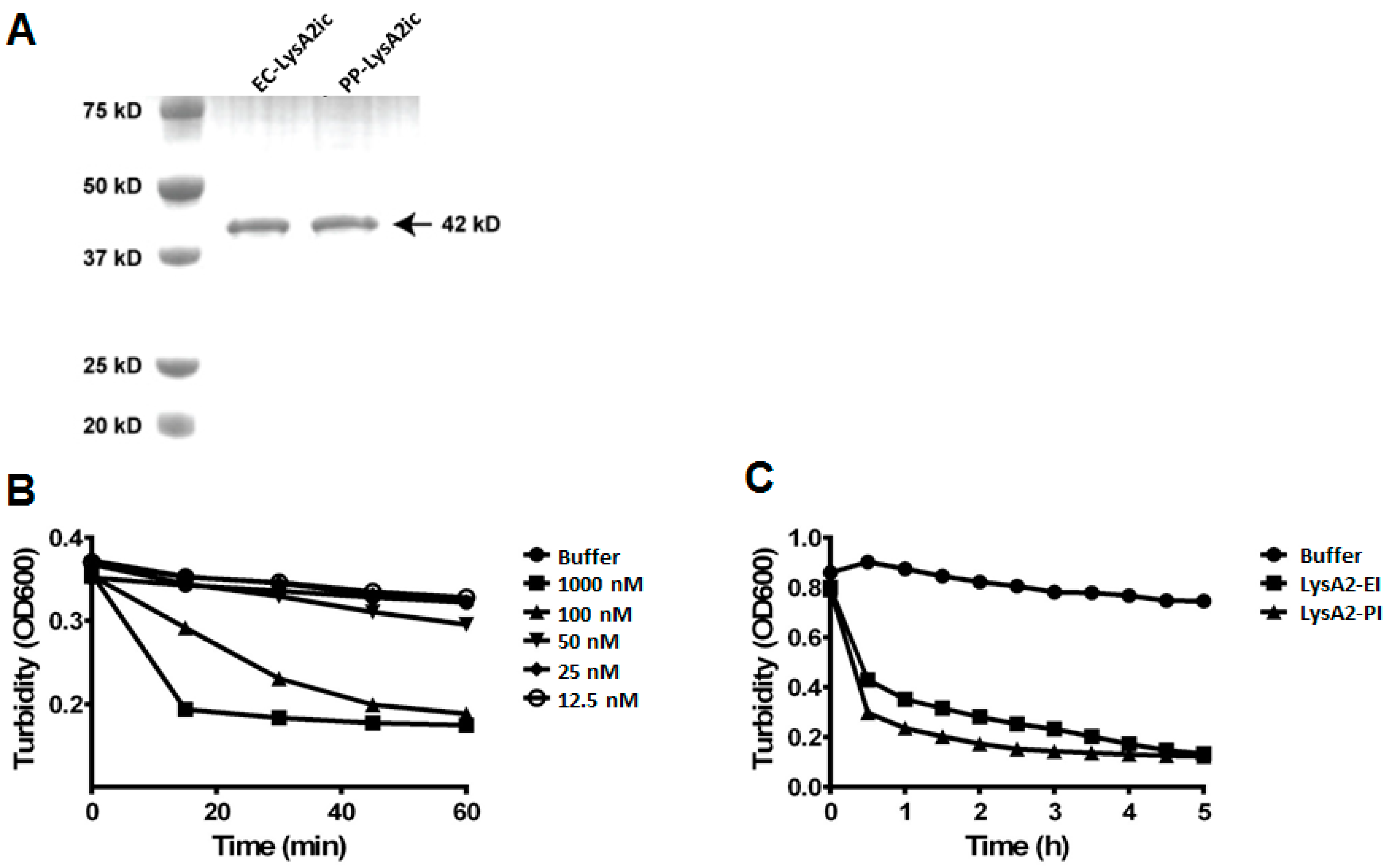 Viruses 10 00281 g001