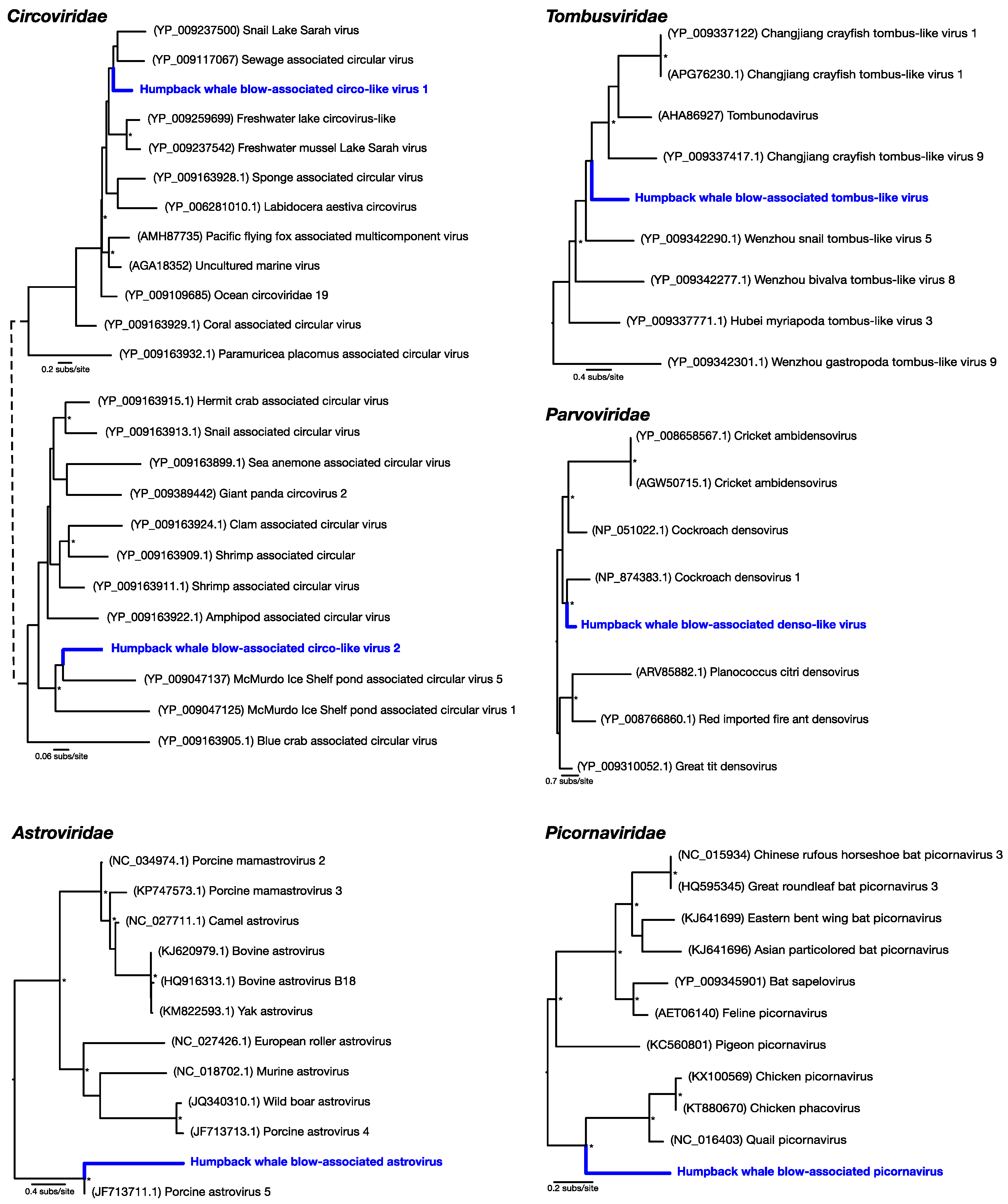Viruses 10 00300 g002