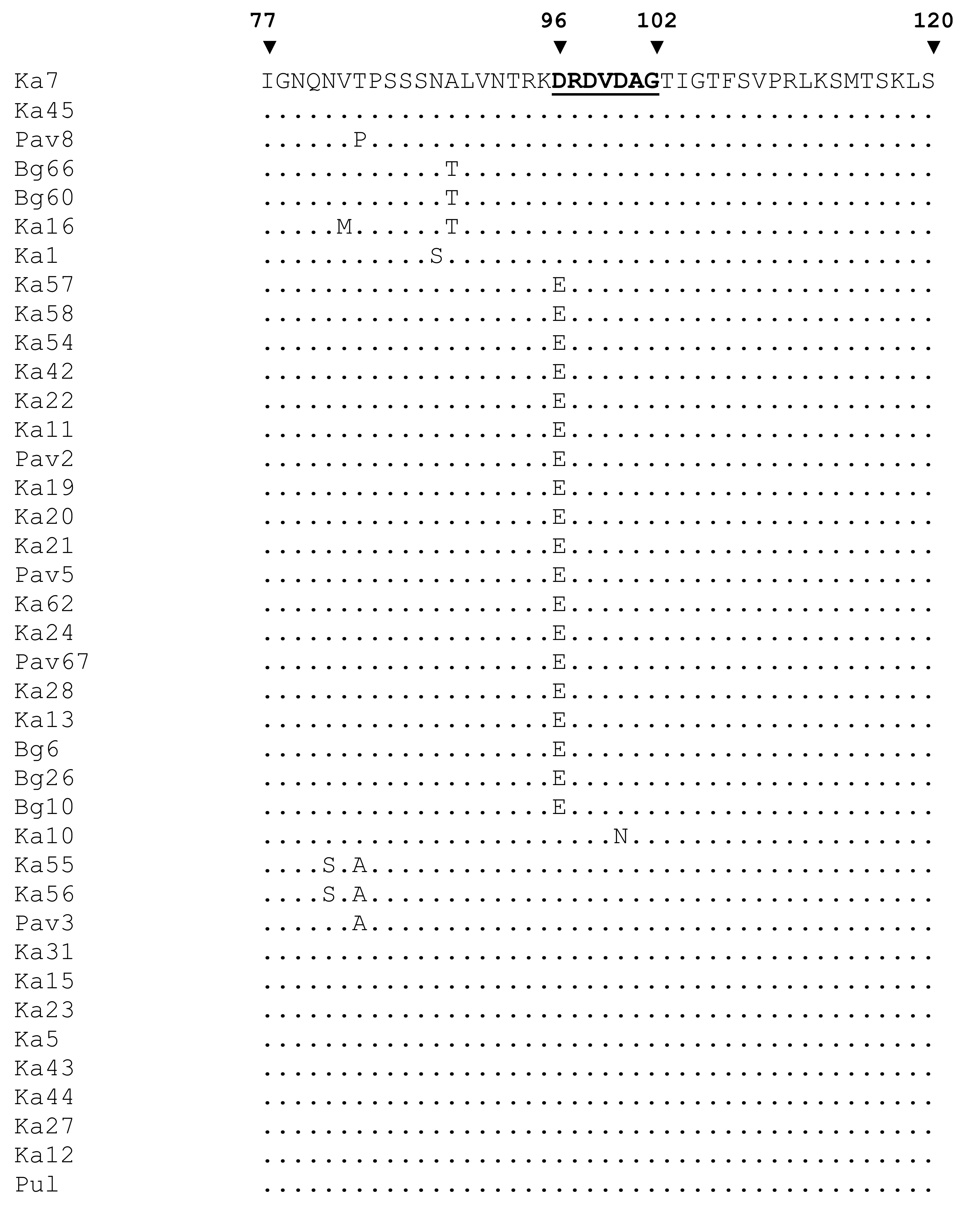 Viruses 10 00450 g003