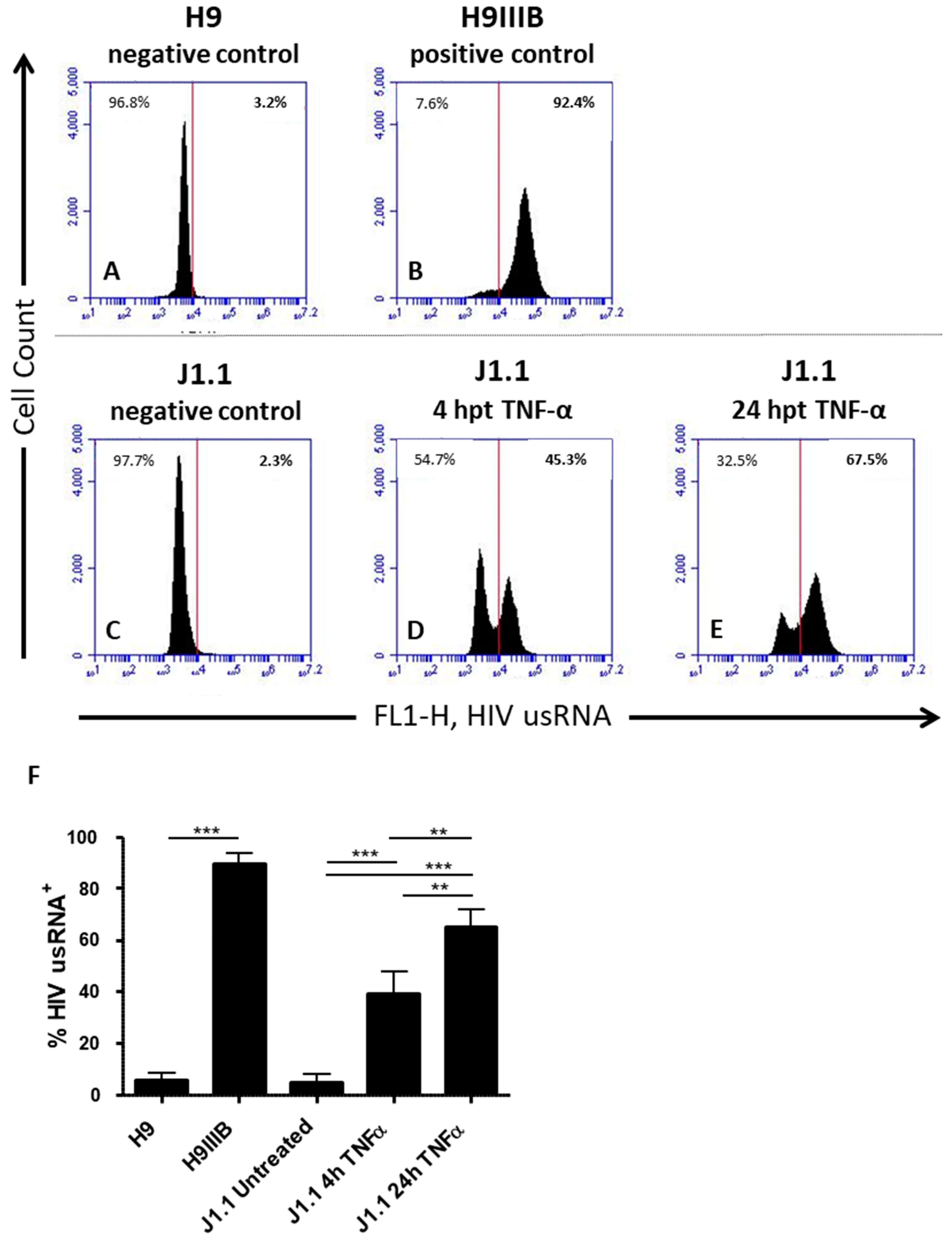 Viruses 10 00534 g004 Viruses 10 00534 g004
