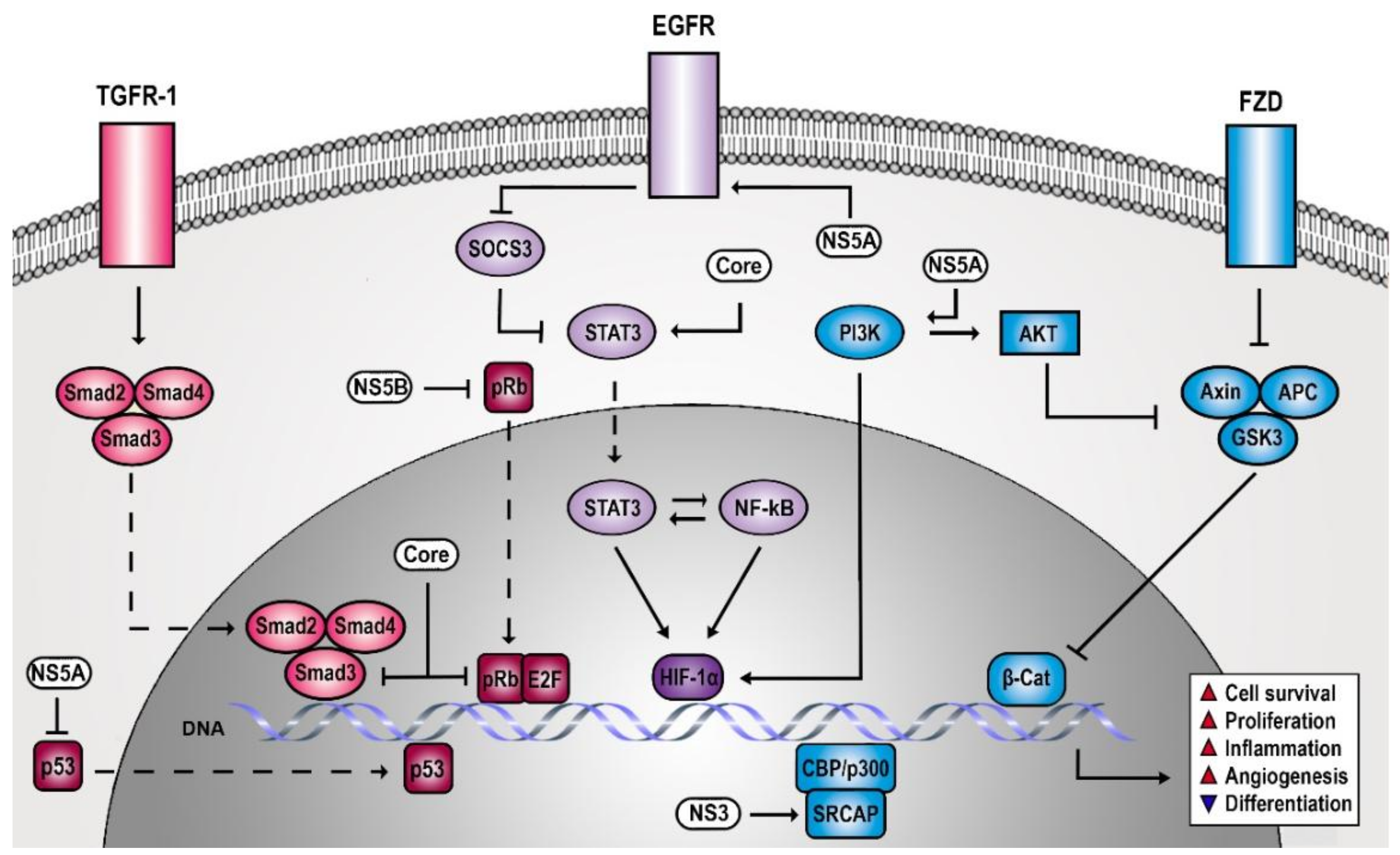 Viruses 10 00538 g001 Viruses 10 00538 g001