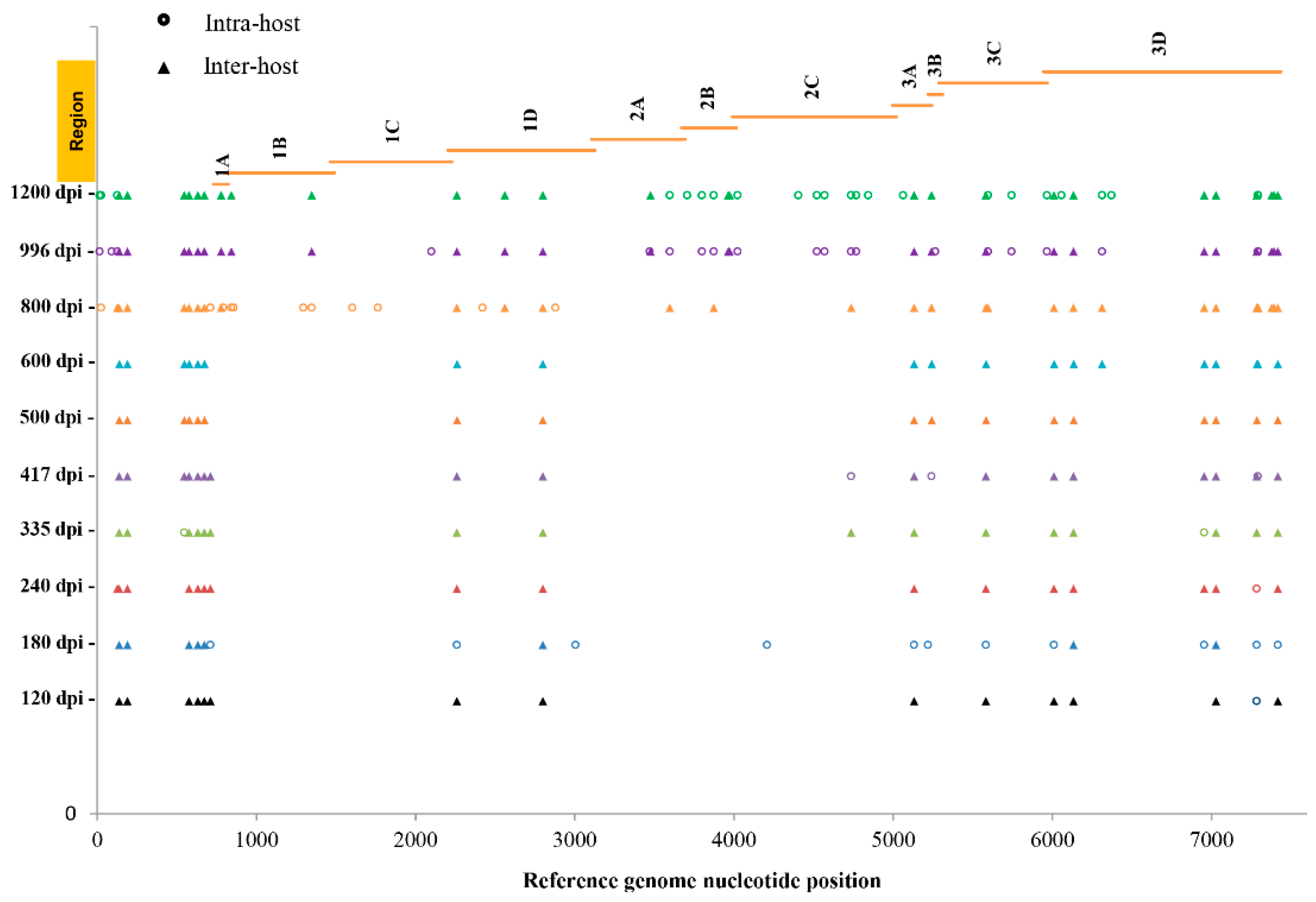 Viruses 10 00619 g003