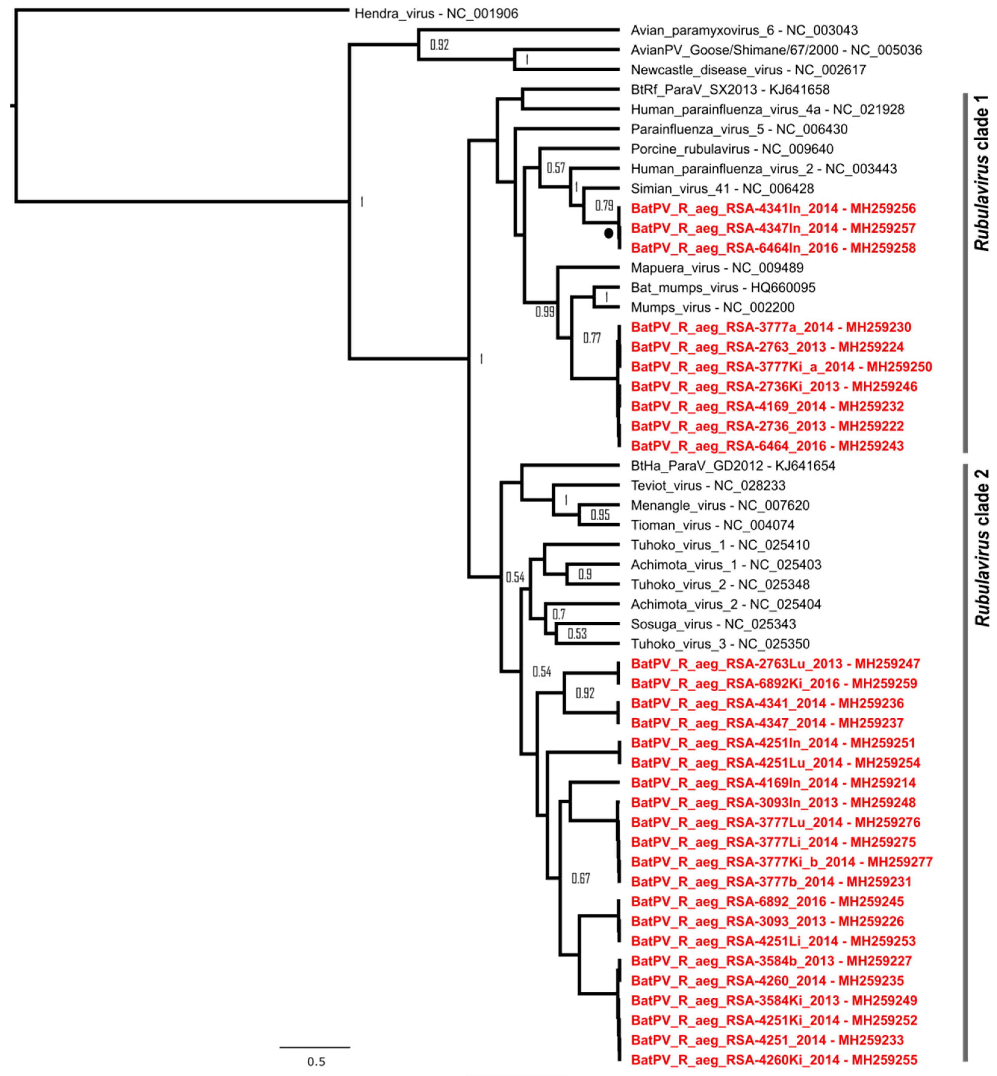 Viruses 11 00037 g002 Viruses 11 00037 g002