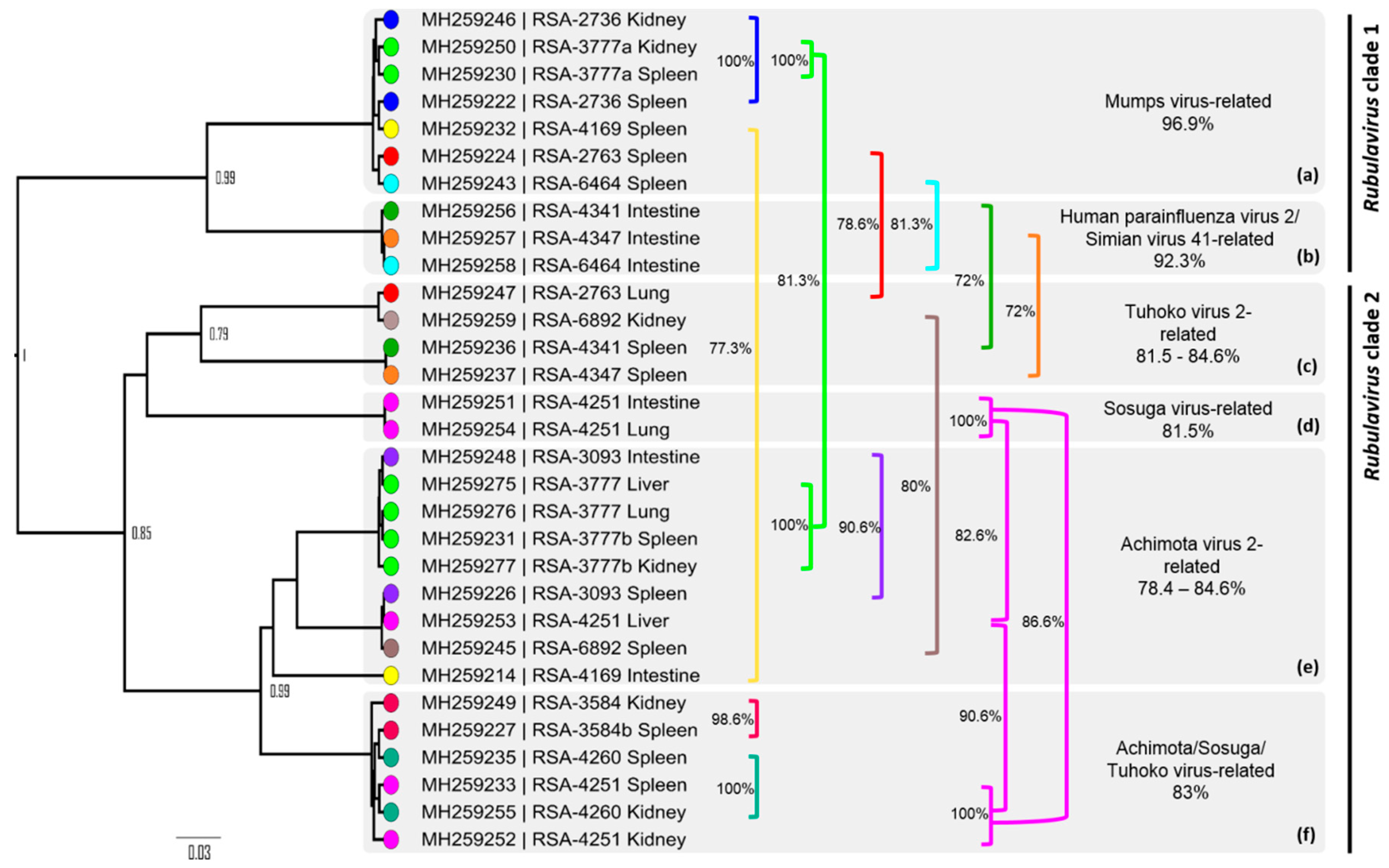 Viruses 11 00037 g003 Viruses 11 00037 g003