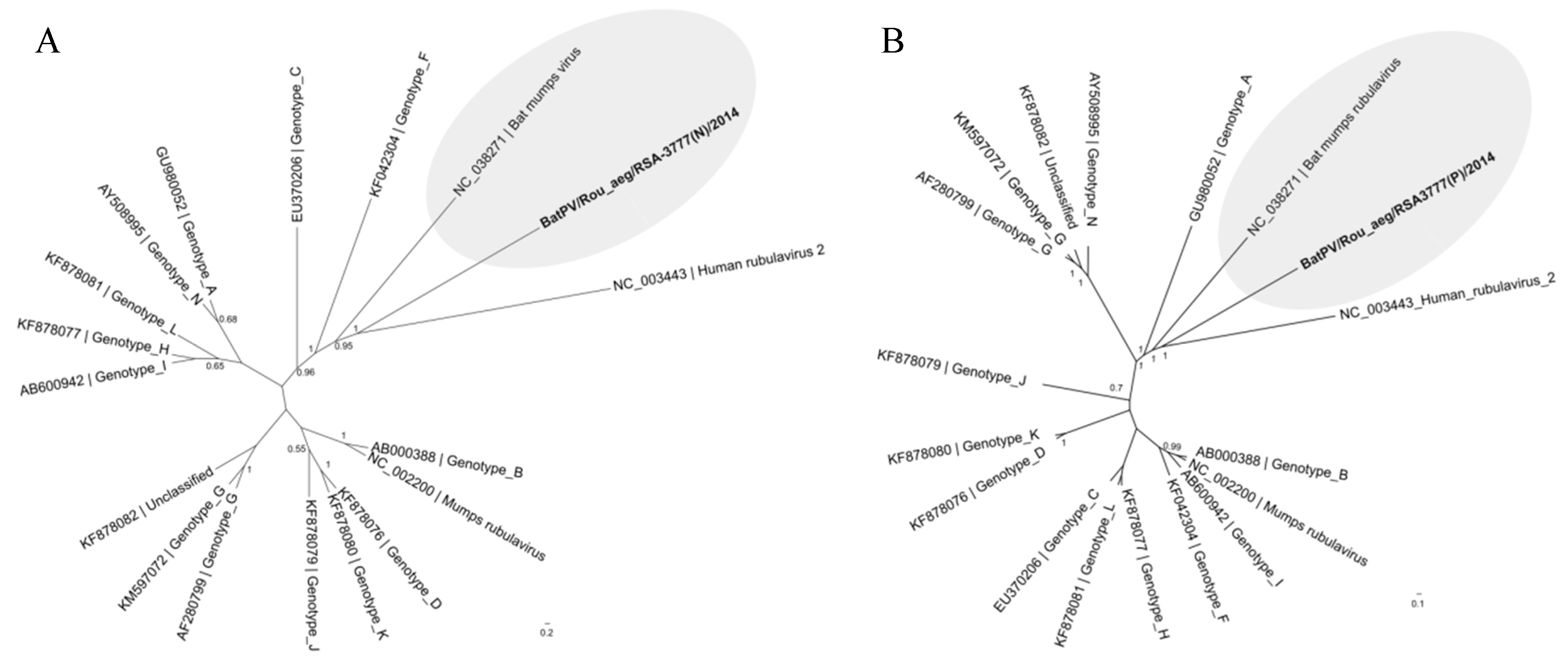 Viruses 11 00037 g0a1 Viruses 11 00037 g0a1