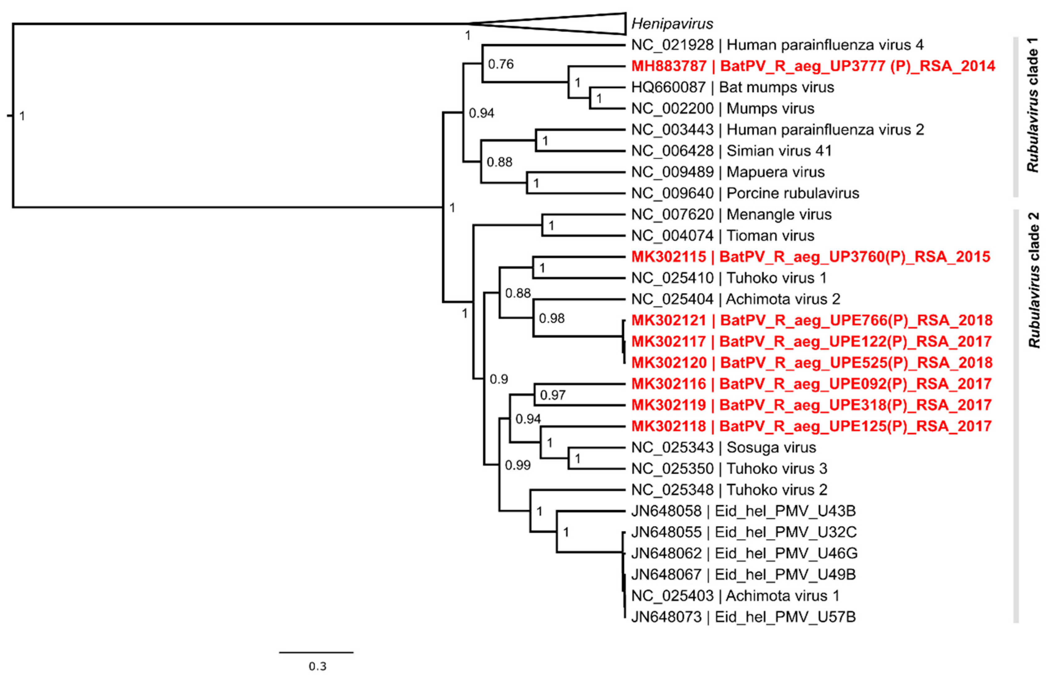 Viruses 11 00037 g0a2 Viruses 11 00037 g0a2