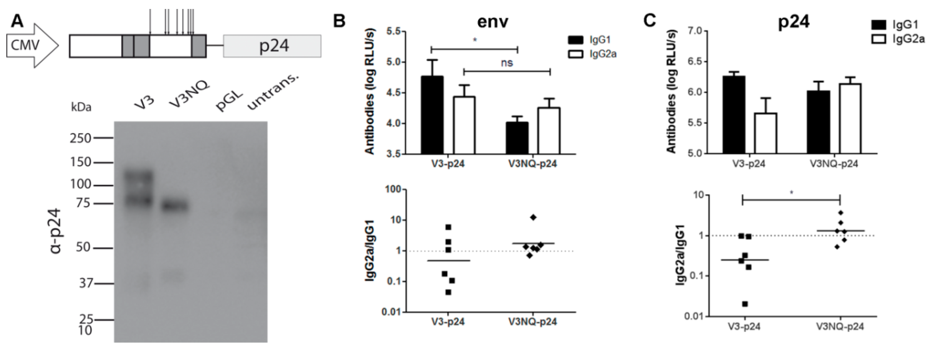 Viruses 11 00153 g009