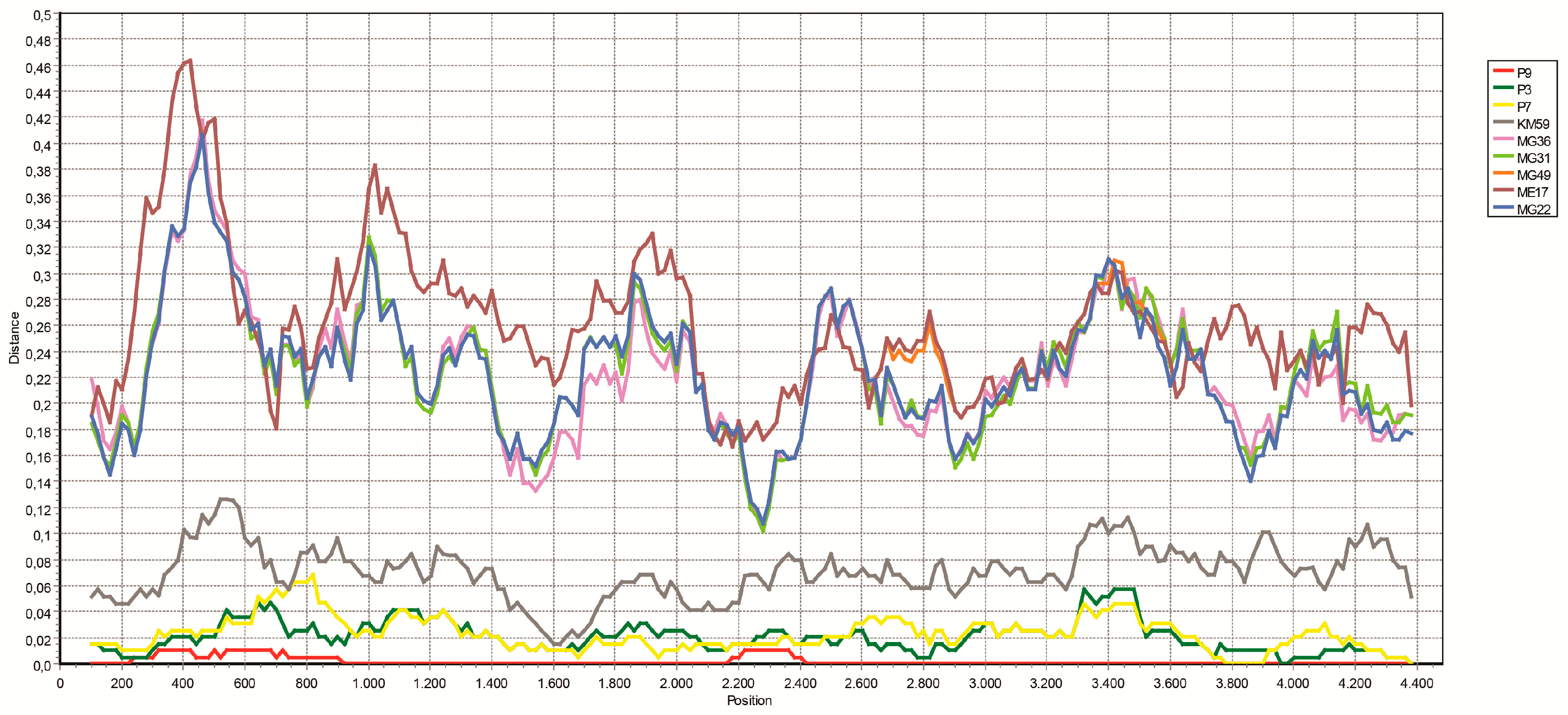 Viruses 11 00703 g003 Viruses 11 00703 g003
