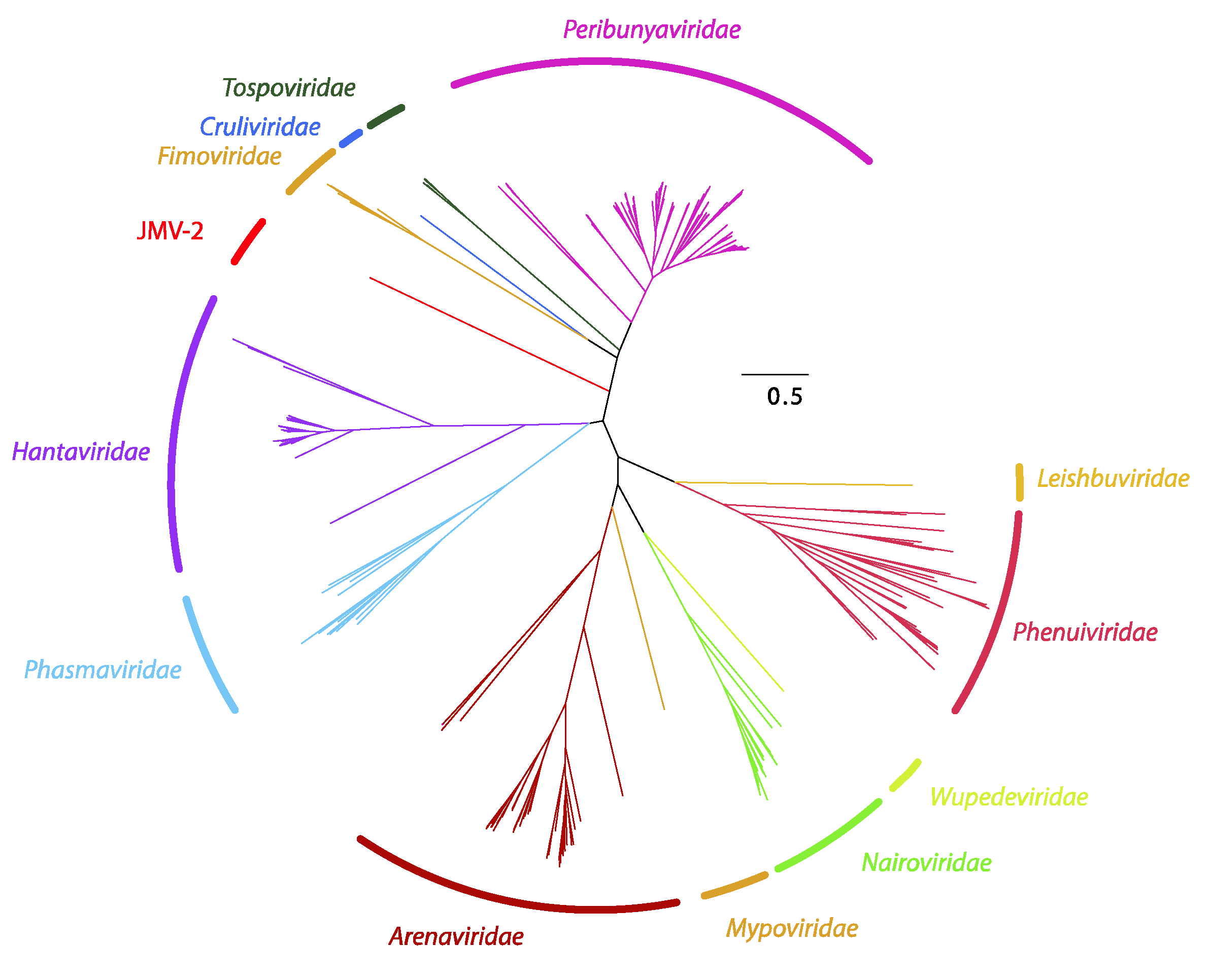 Viruses 11 00788 g002 Viruses 11 00788 g002