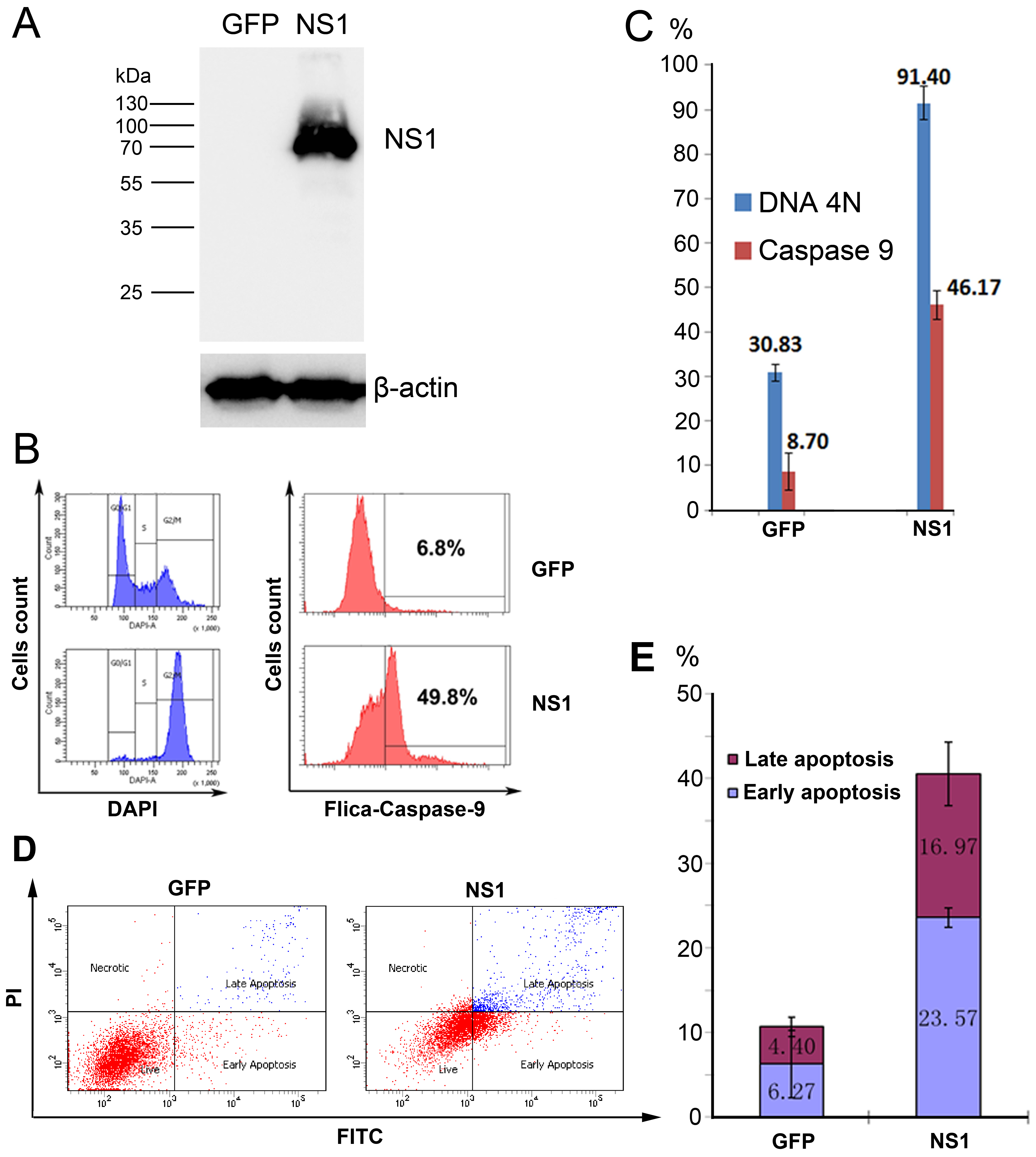 Viruses 11 00820 g005 Viruses 11 00820 g005