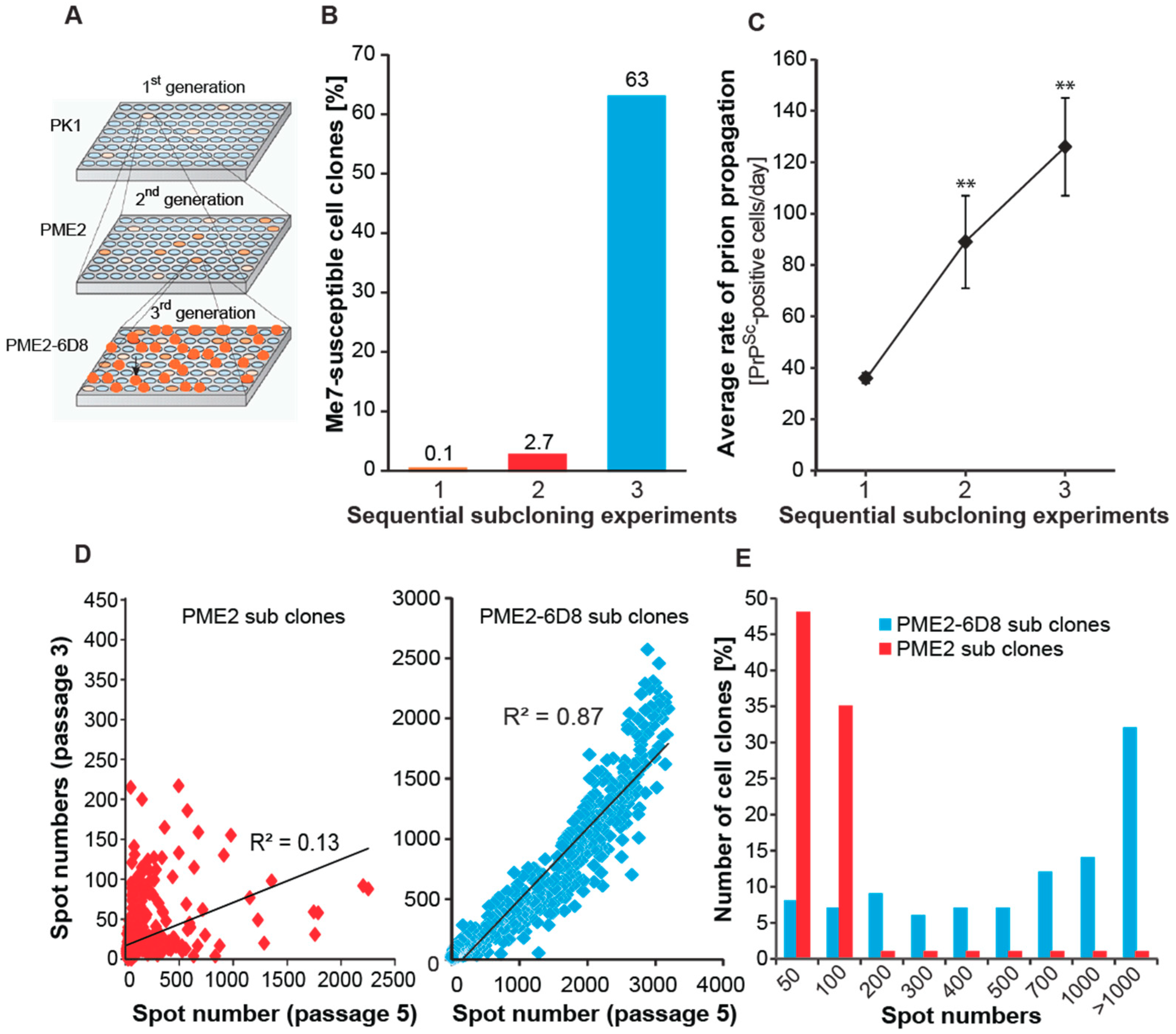 Viruses 11 00888 g002 Viruses 11 00888 g002