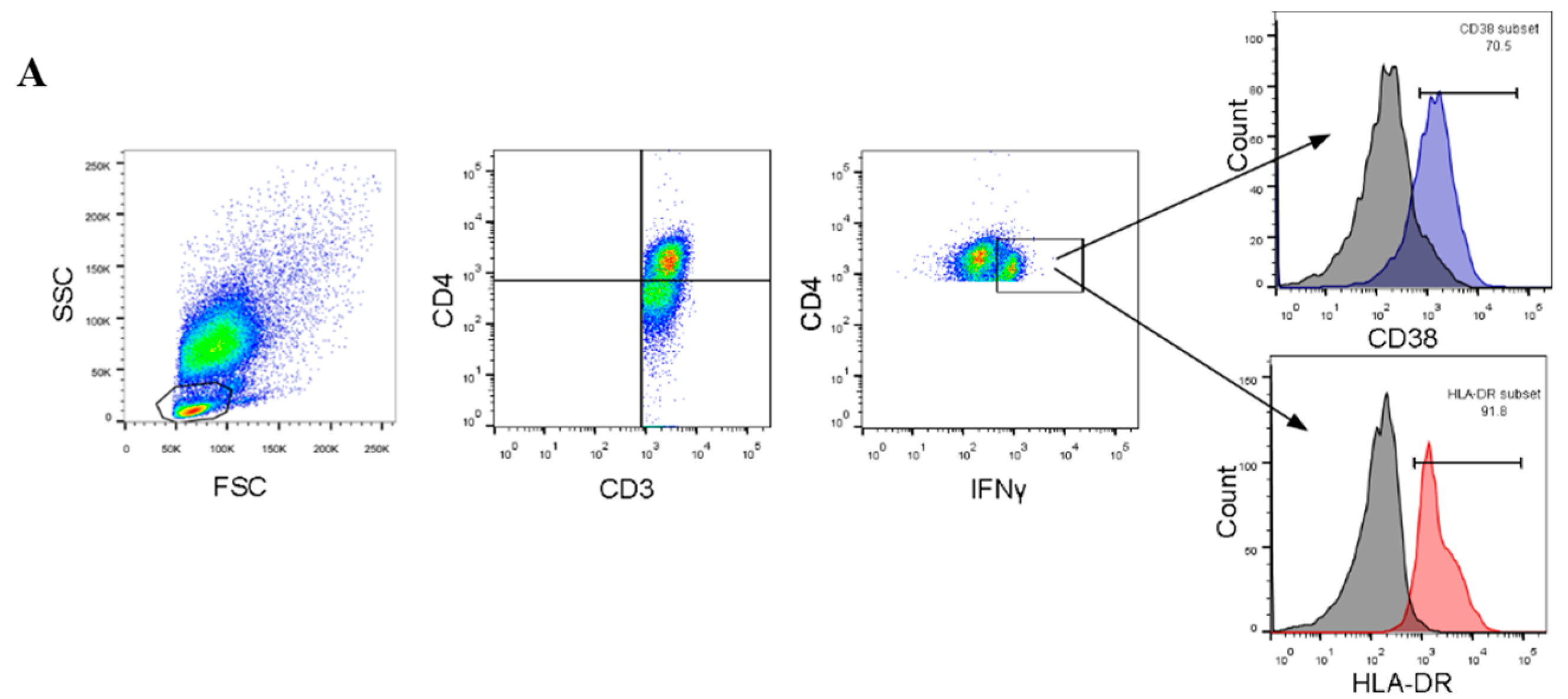 Viruses 12 00101 g001a