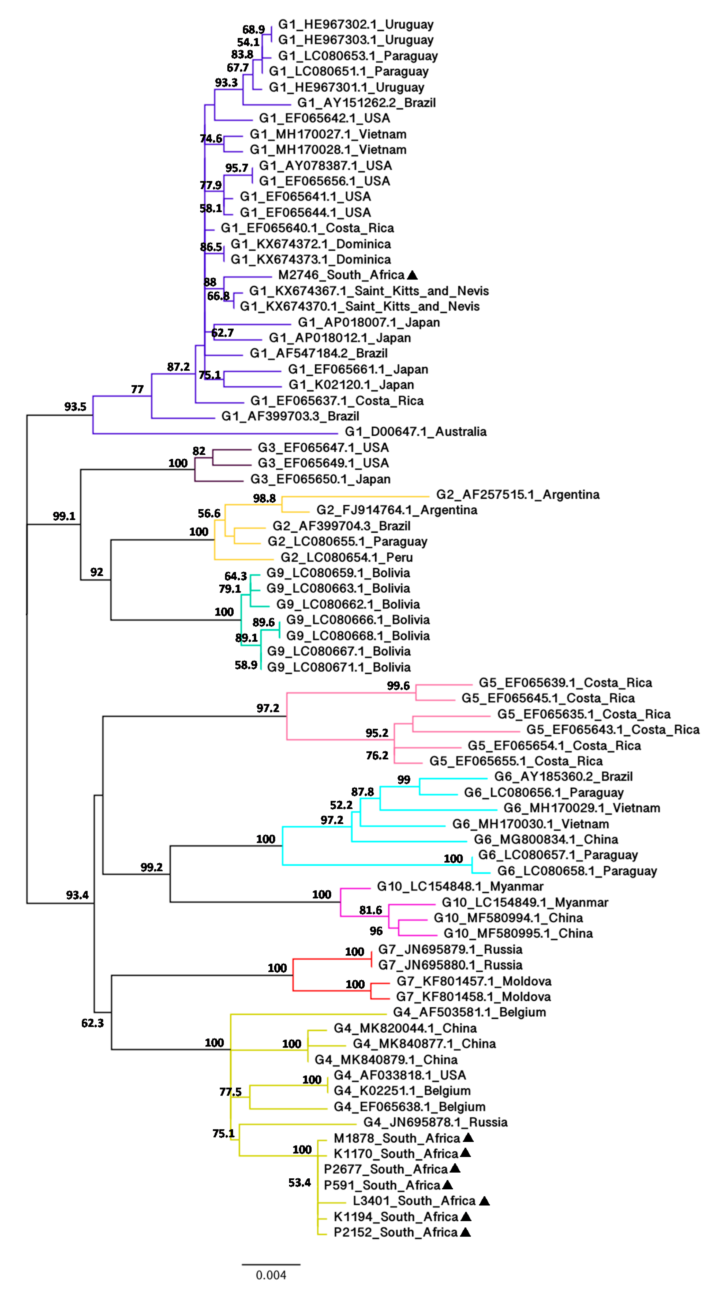 Viruses 12 00898 g002