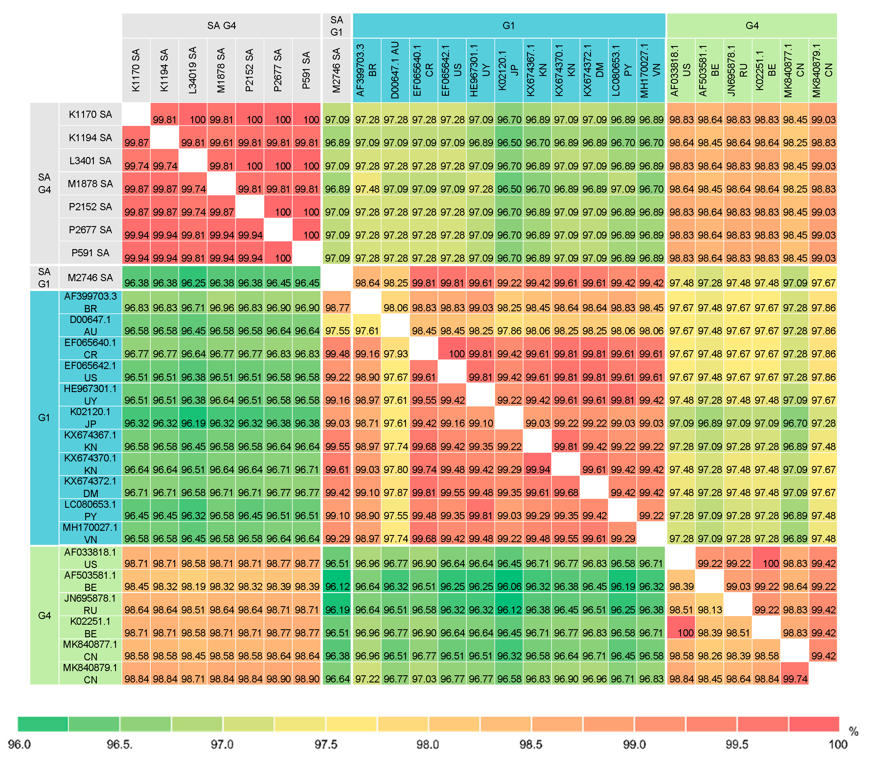 Viruses 12 00898 g005