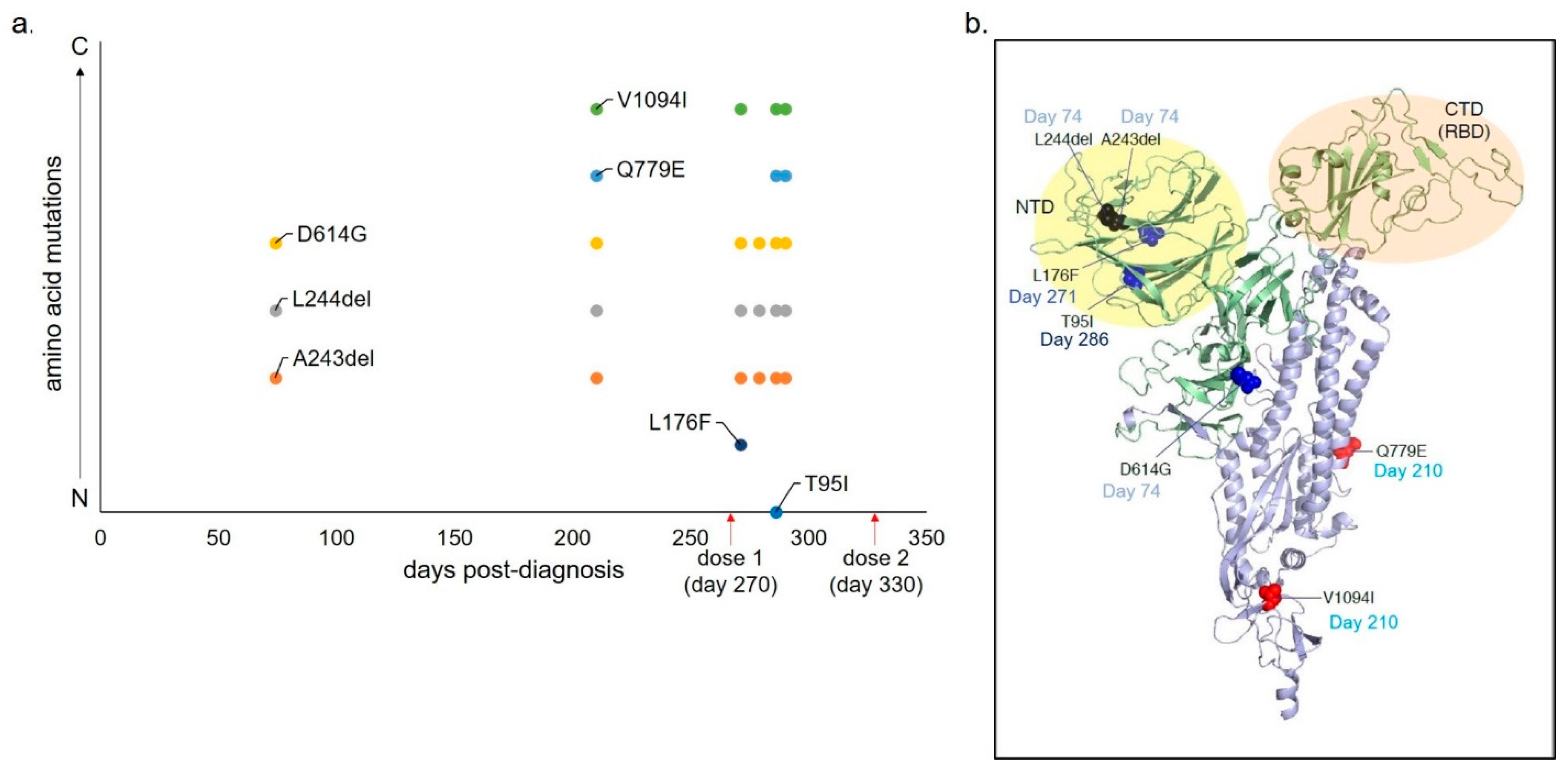 Viruses 13 01202 g001