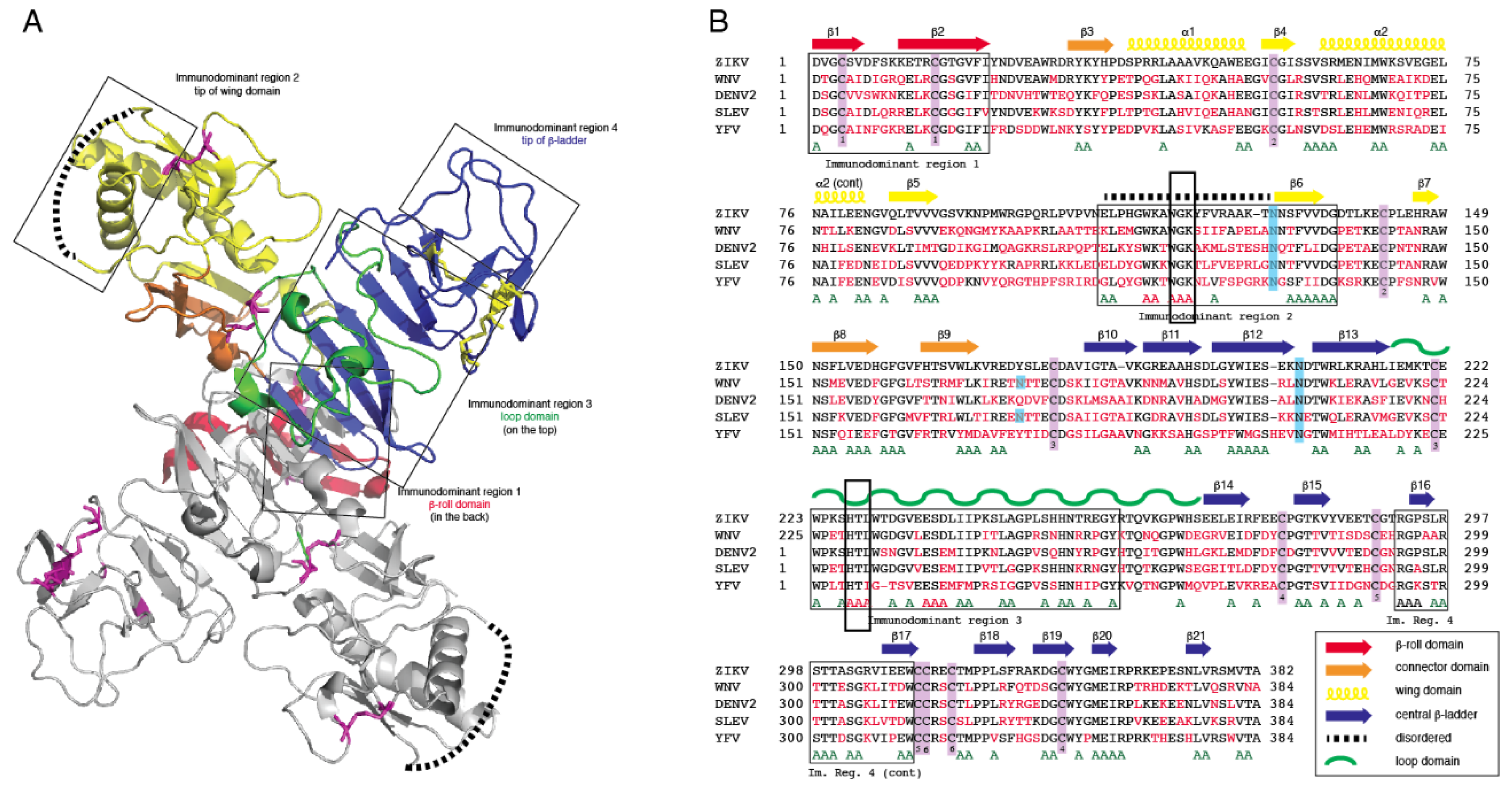Viruses 13 01771 g001
