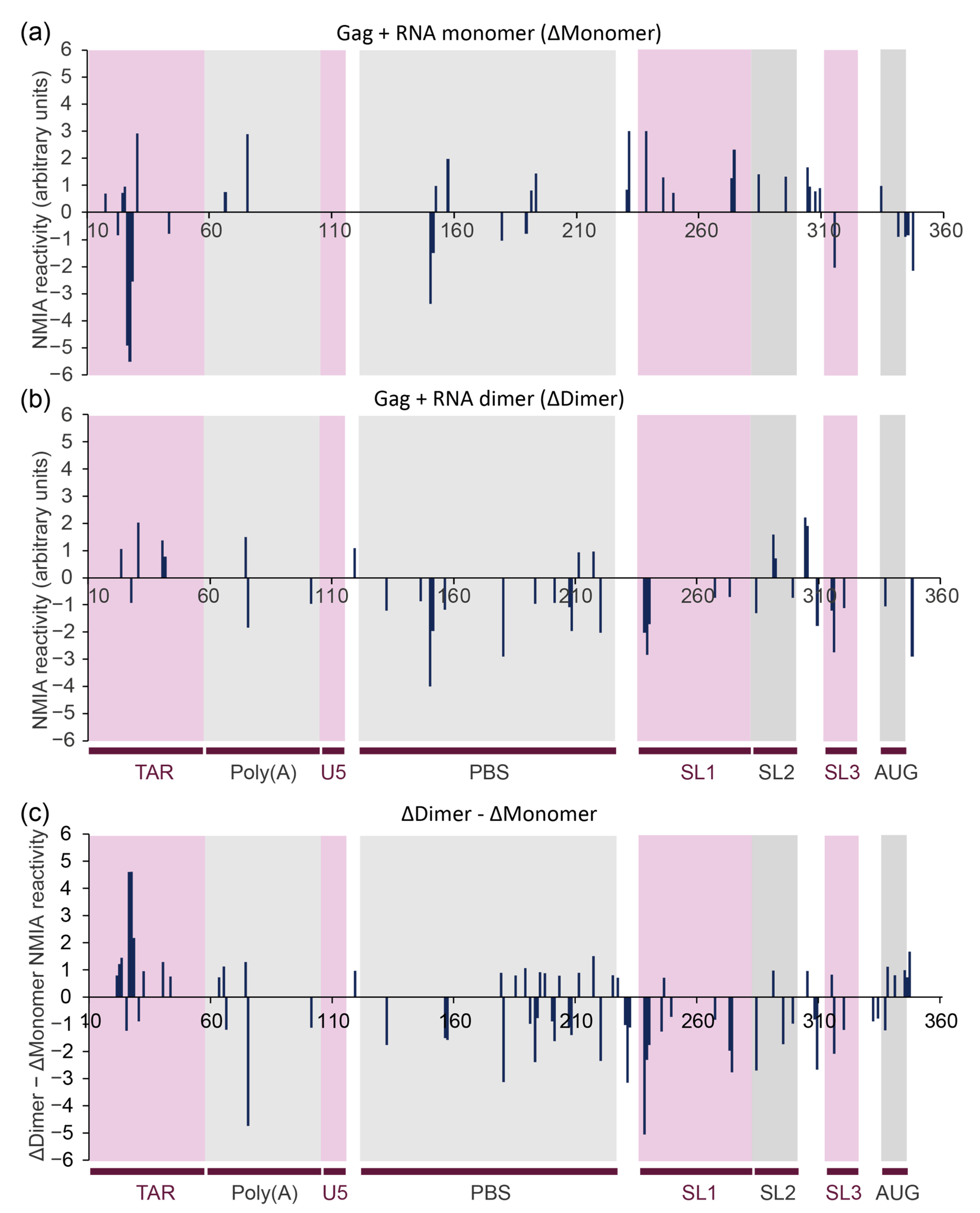 Viruses 13 02389 g004 Viruses 13 02389 g004