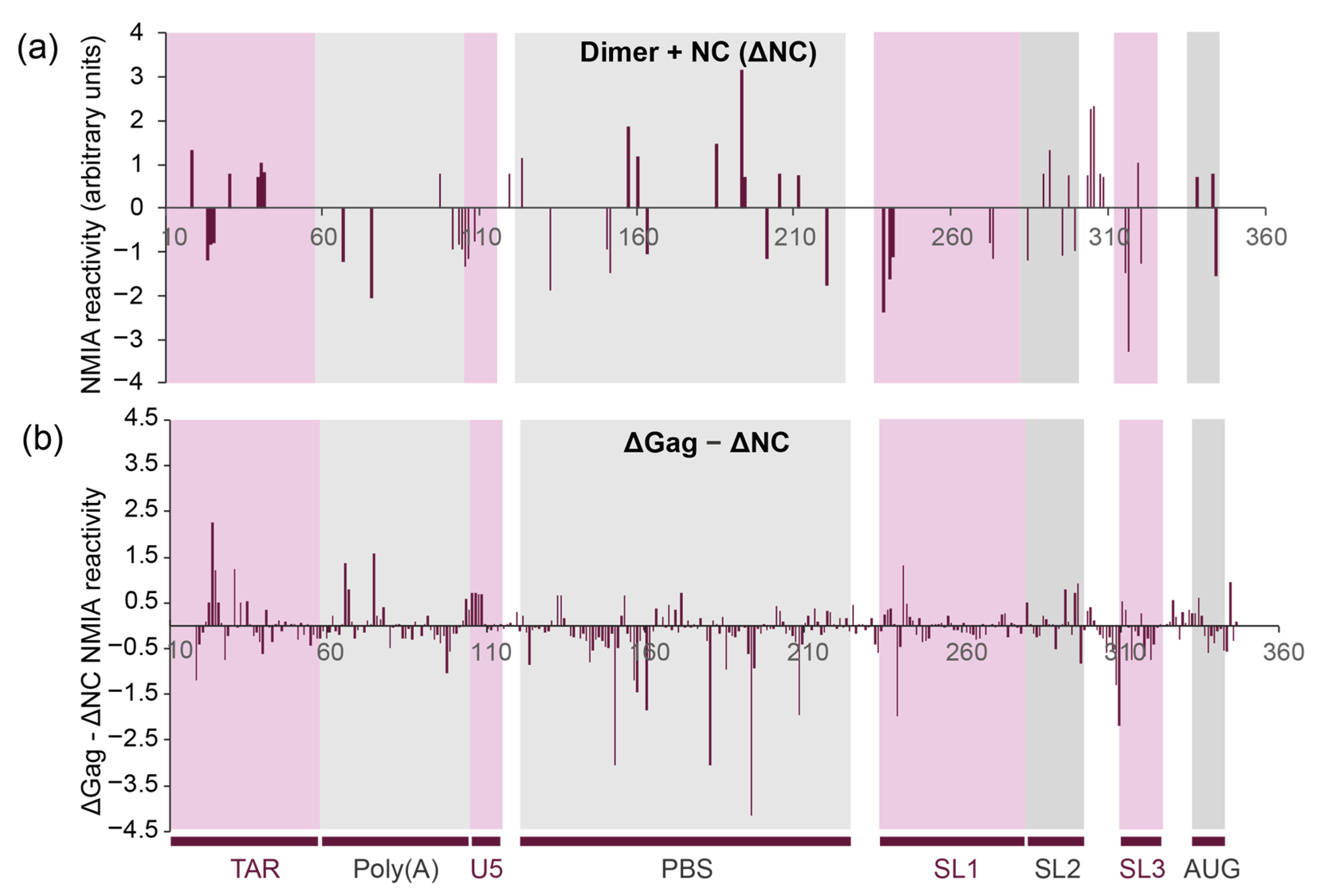 Viruses 13 02389 g005 Viruses 13 02389 g005