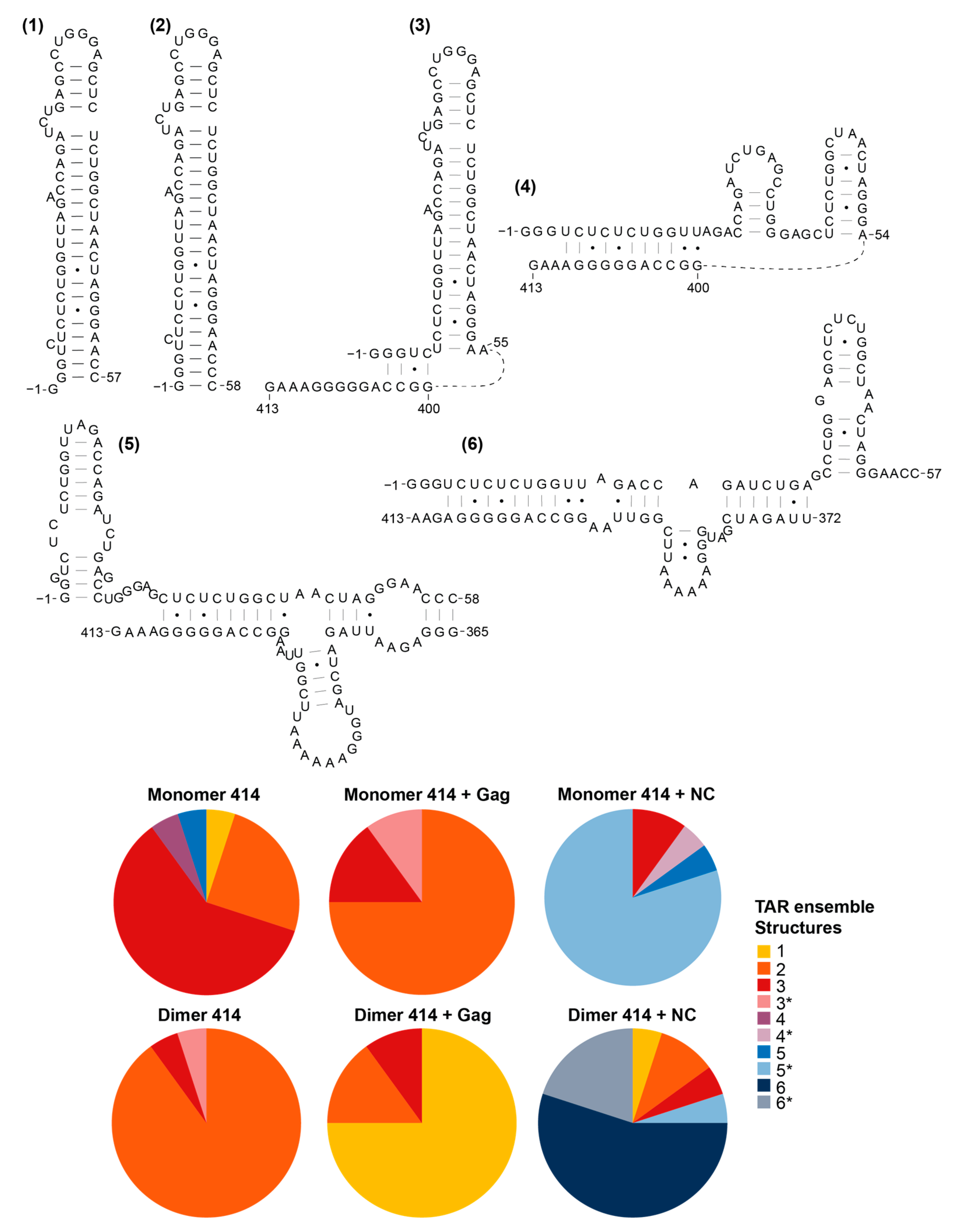 Viruses 13 02389 g006 Viruses 13 02389 g006