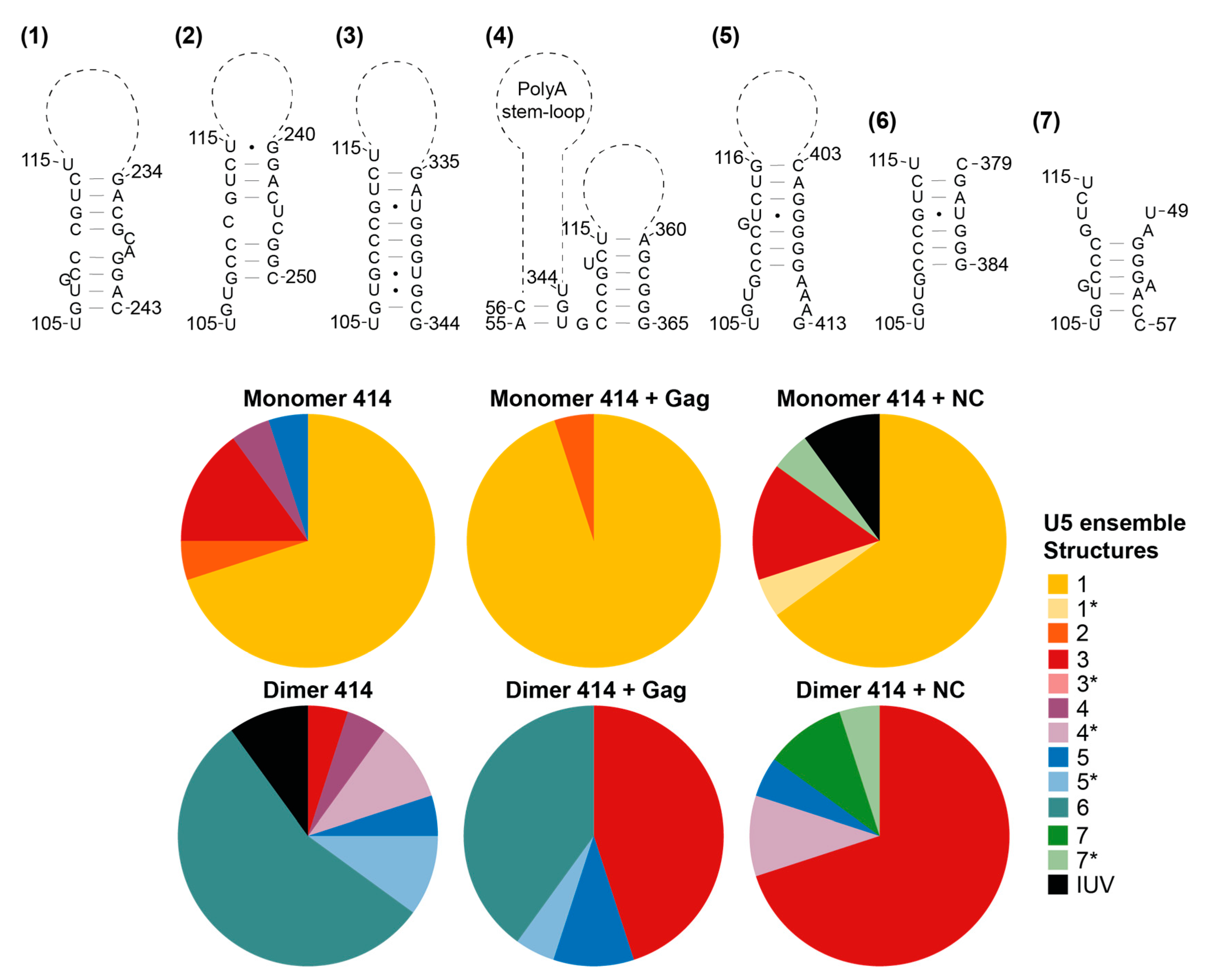 Viruses 13 02389 g008 Viruses 13 02389 g008