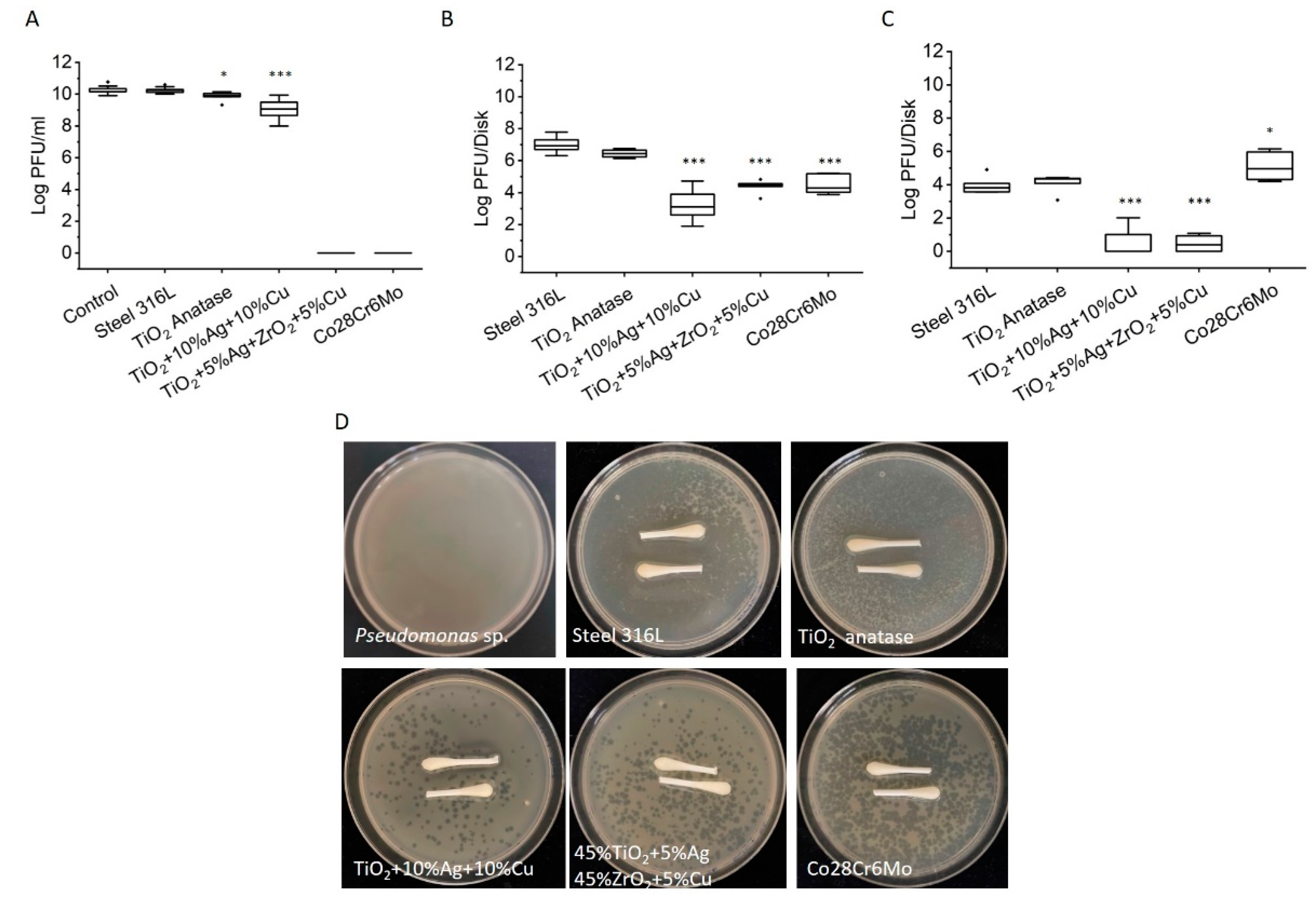 Viruses 14 00204 g004