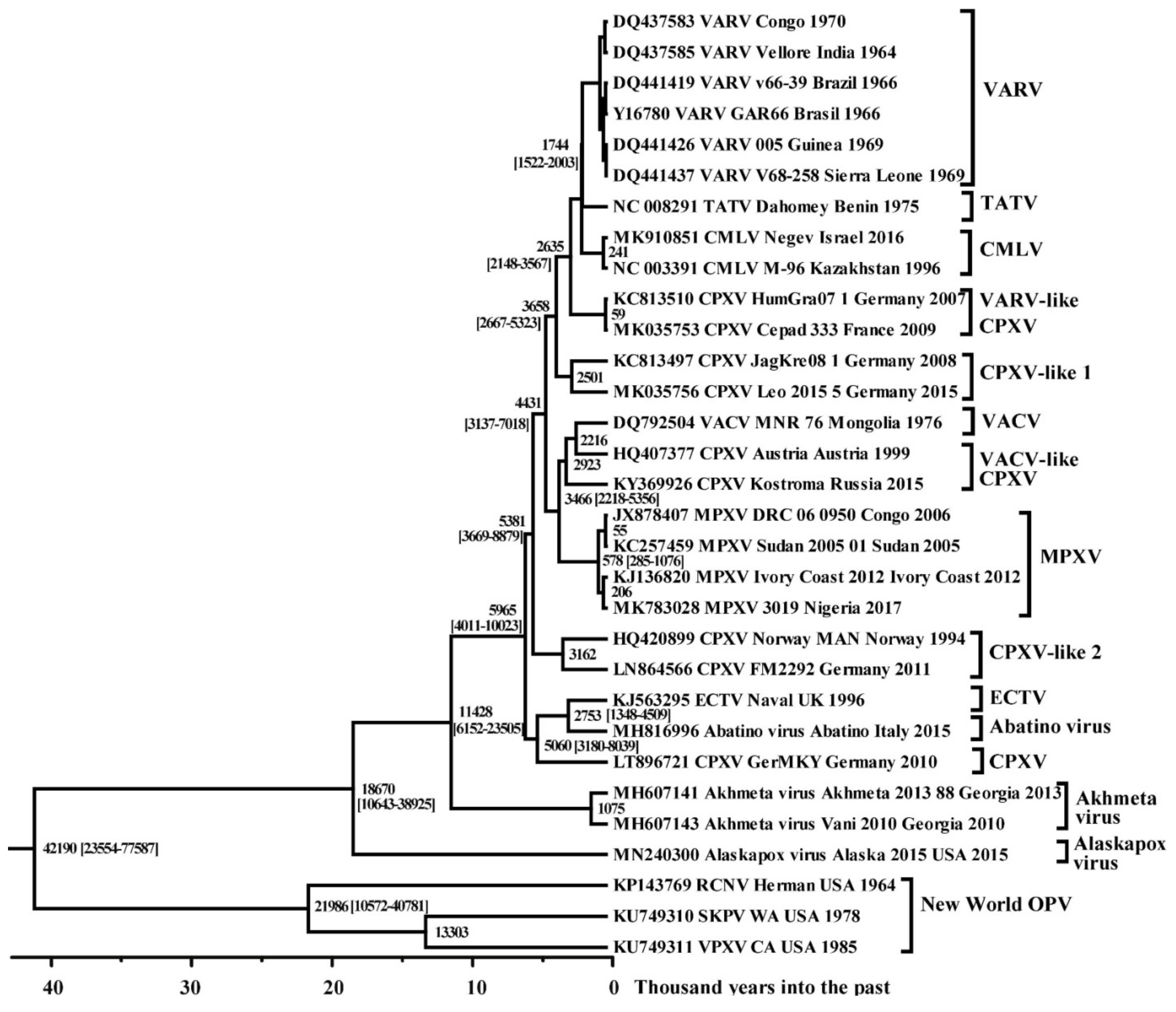 Viruses 14 00388 g003