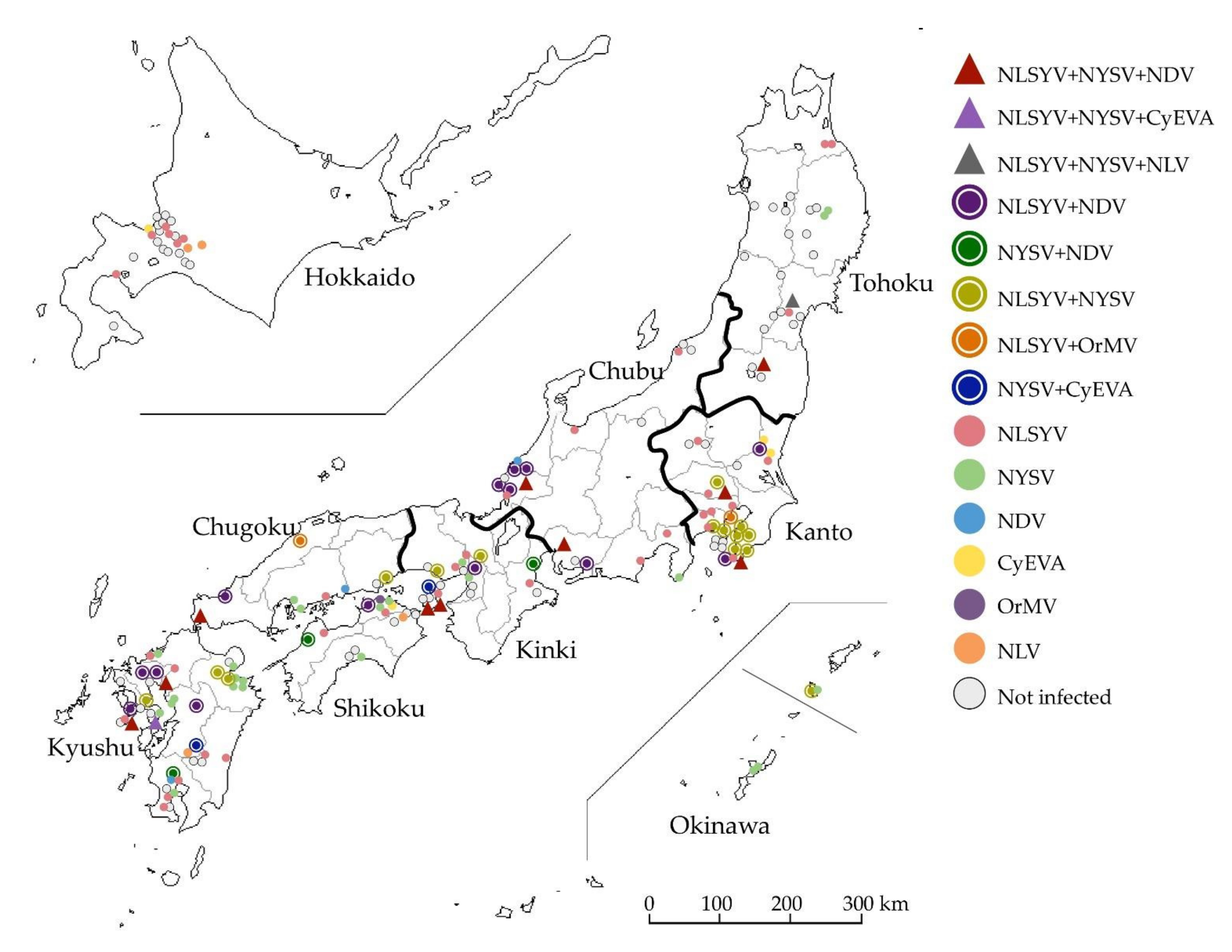 Viruses 14 00582 g001