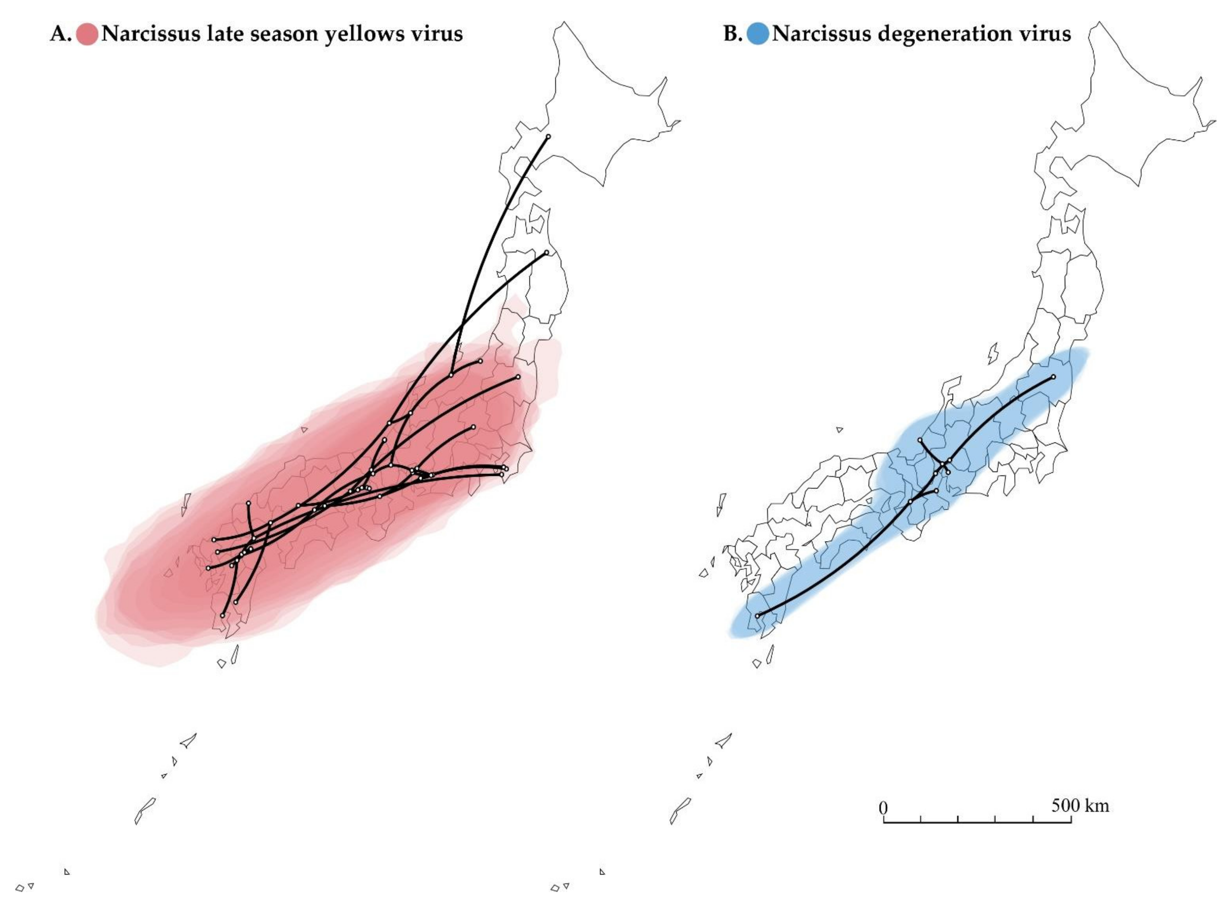 Viruses 14 00582 g005