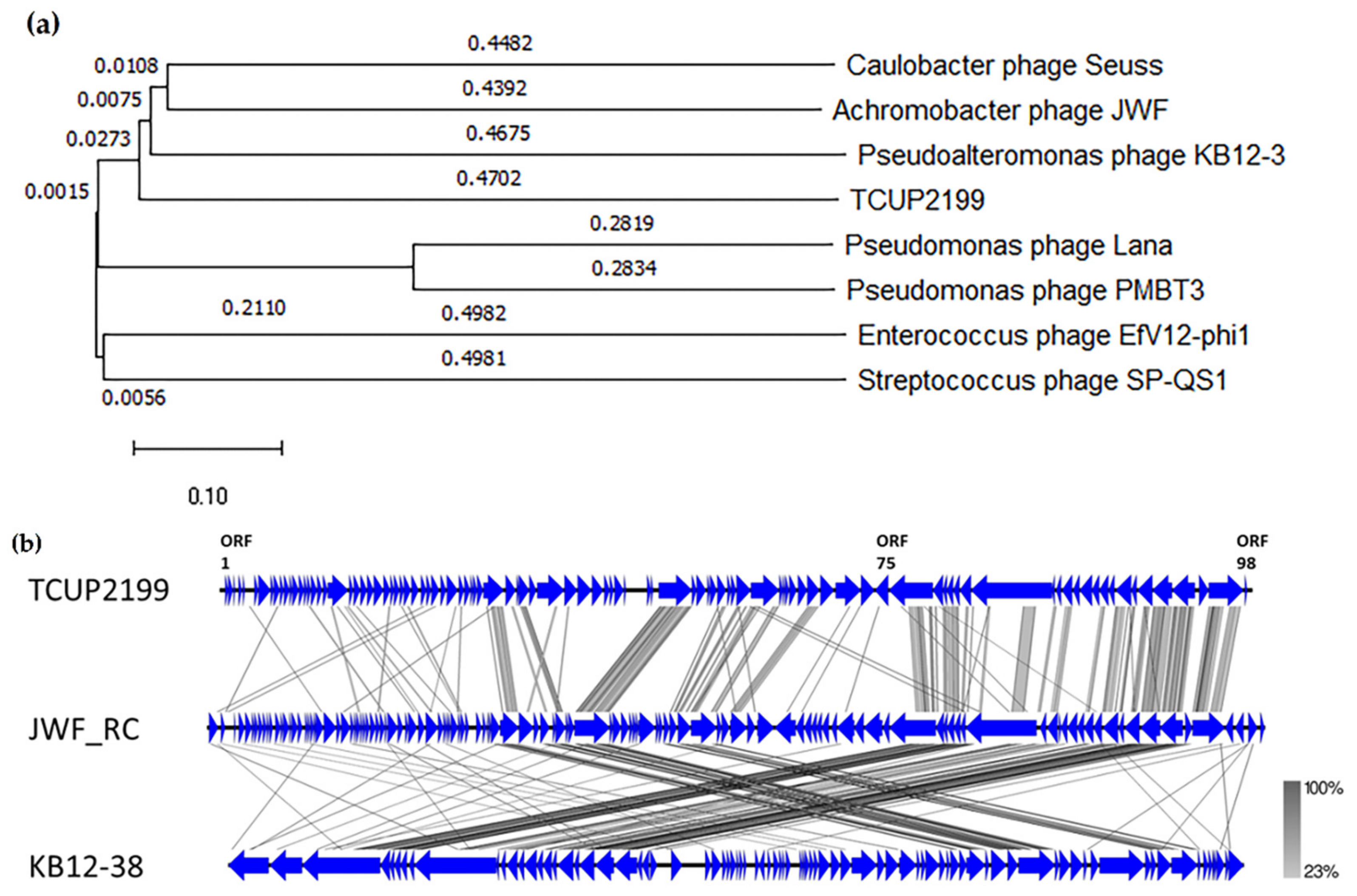 Viruses 14 01240 g006