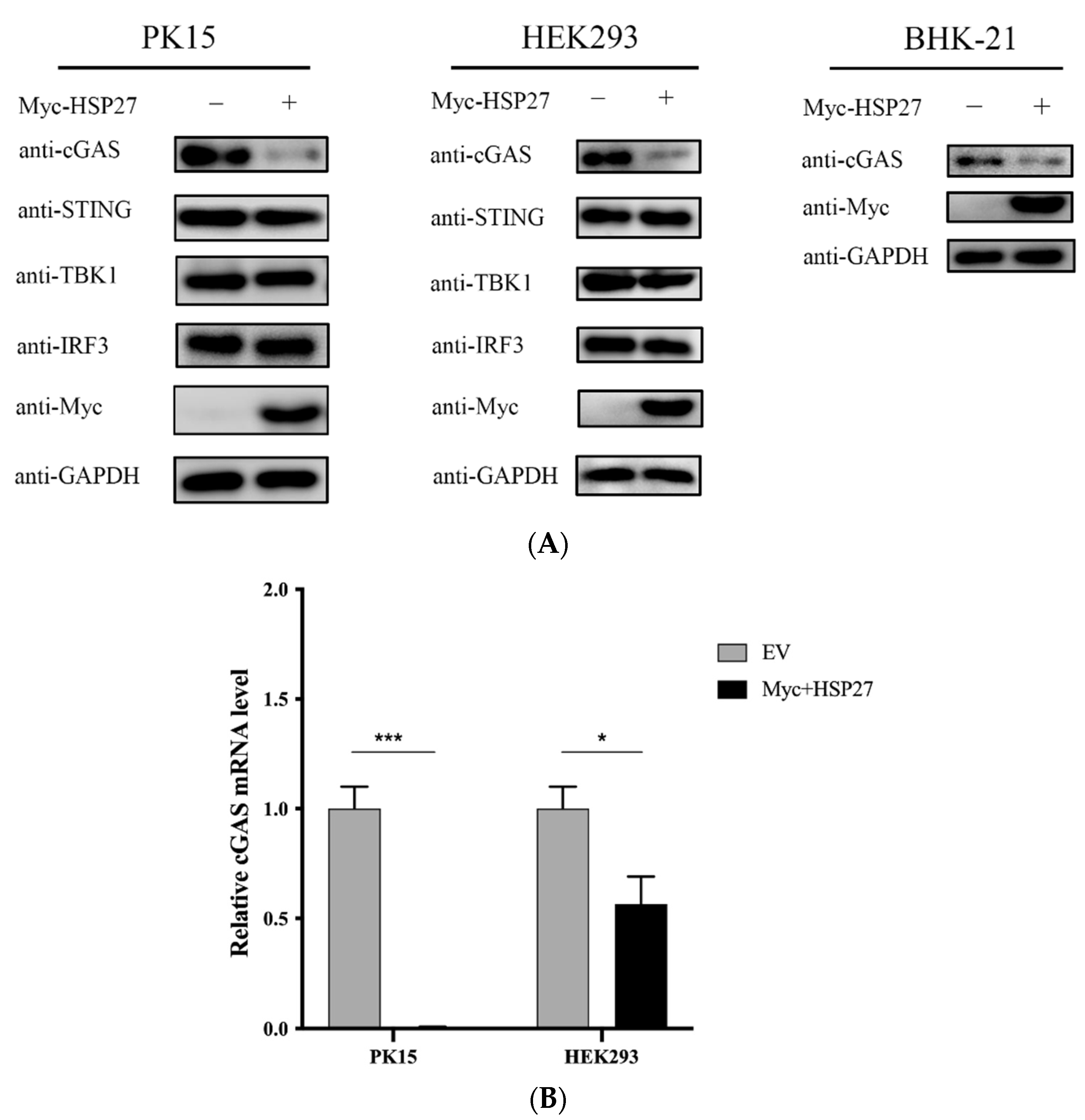 Viruses 14 01851 g006