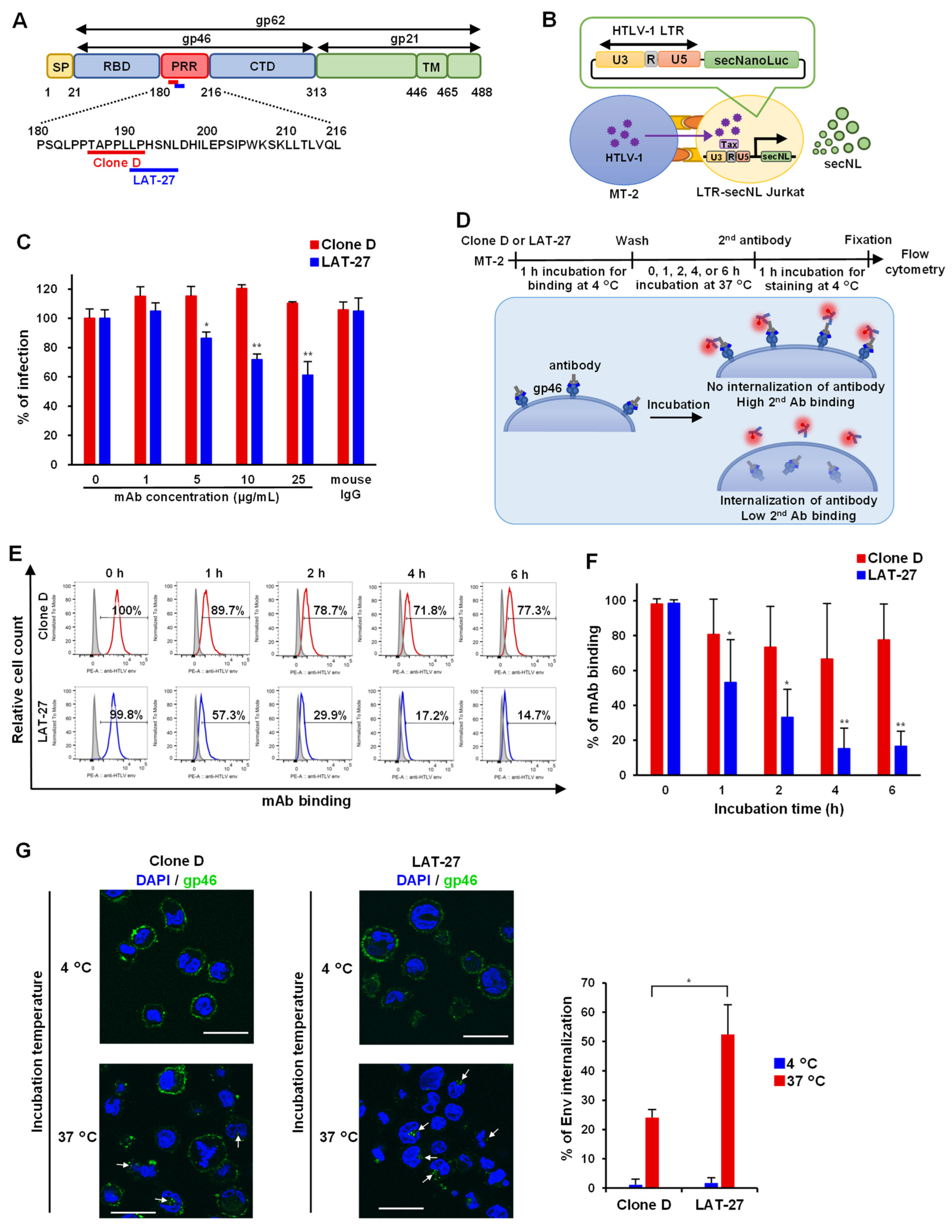 Viruses 14 02153 g003