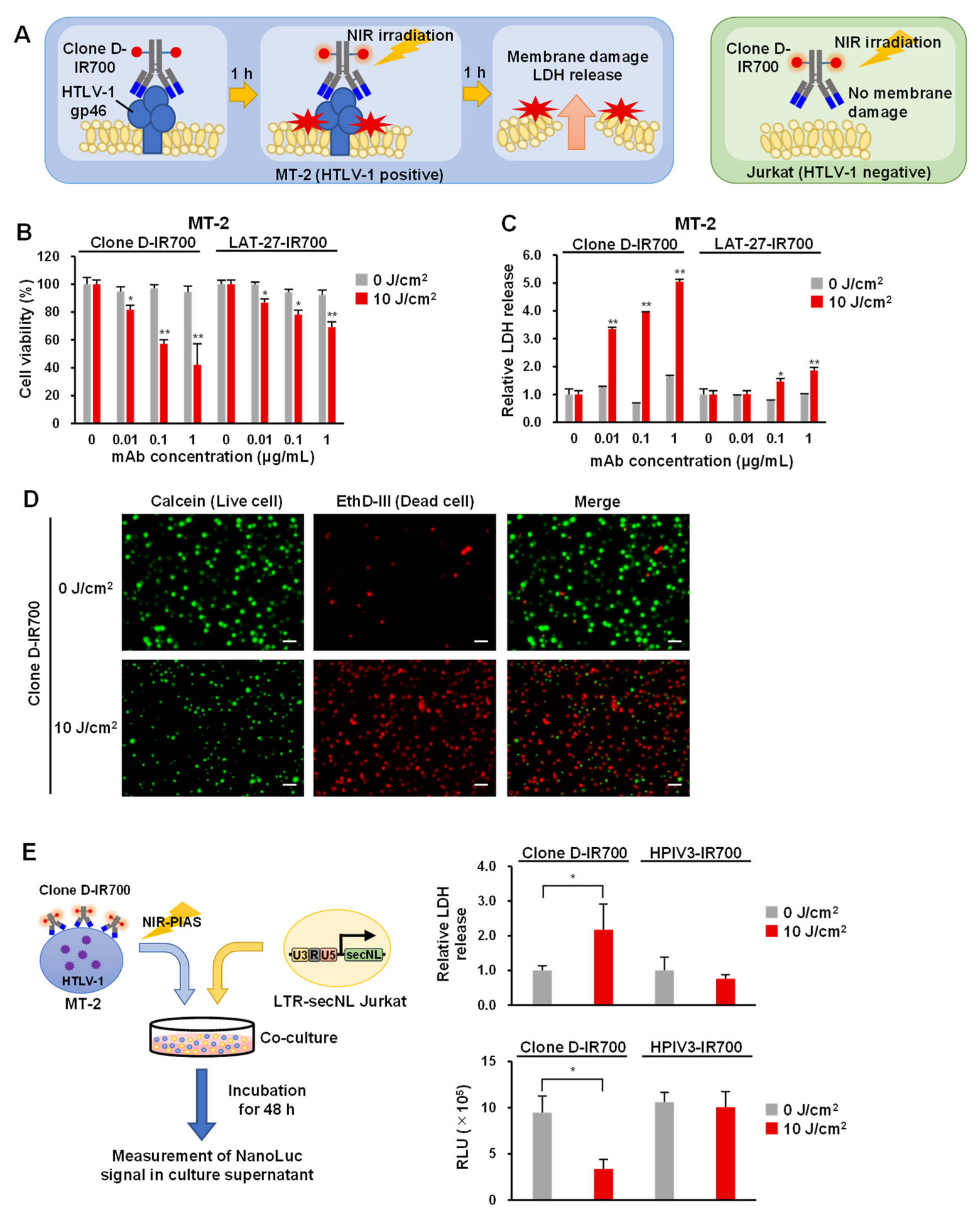 Viruses 14 02153 g004