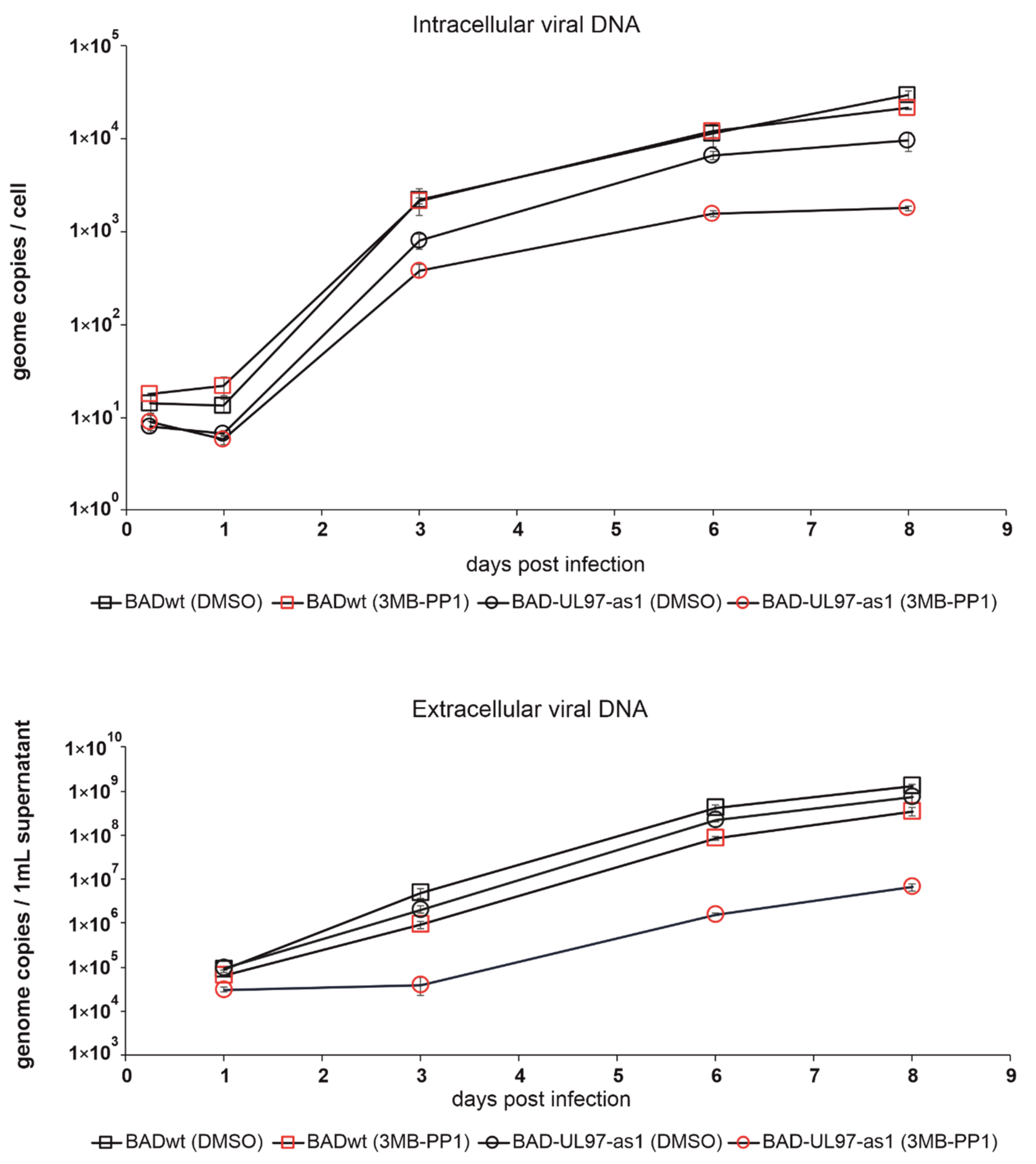 Viruses 14 02285 g003 Viruses 14 02285 g003