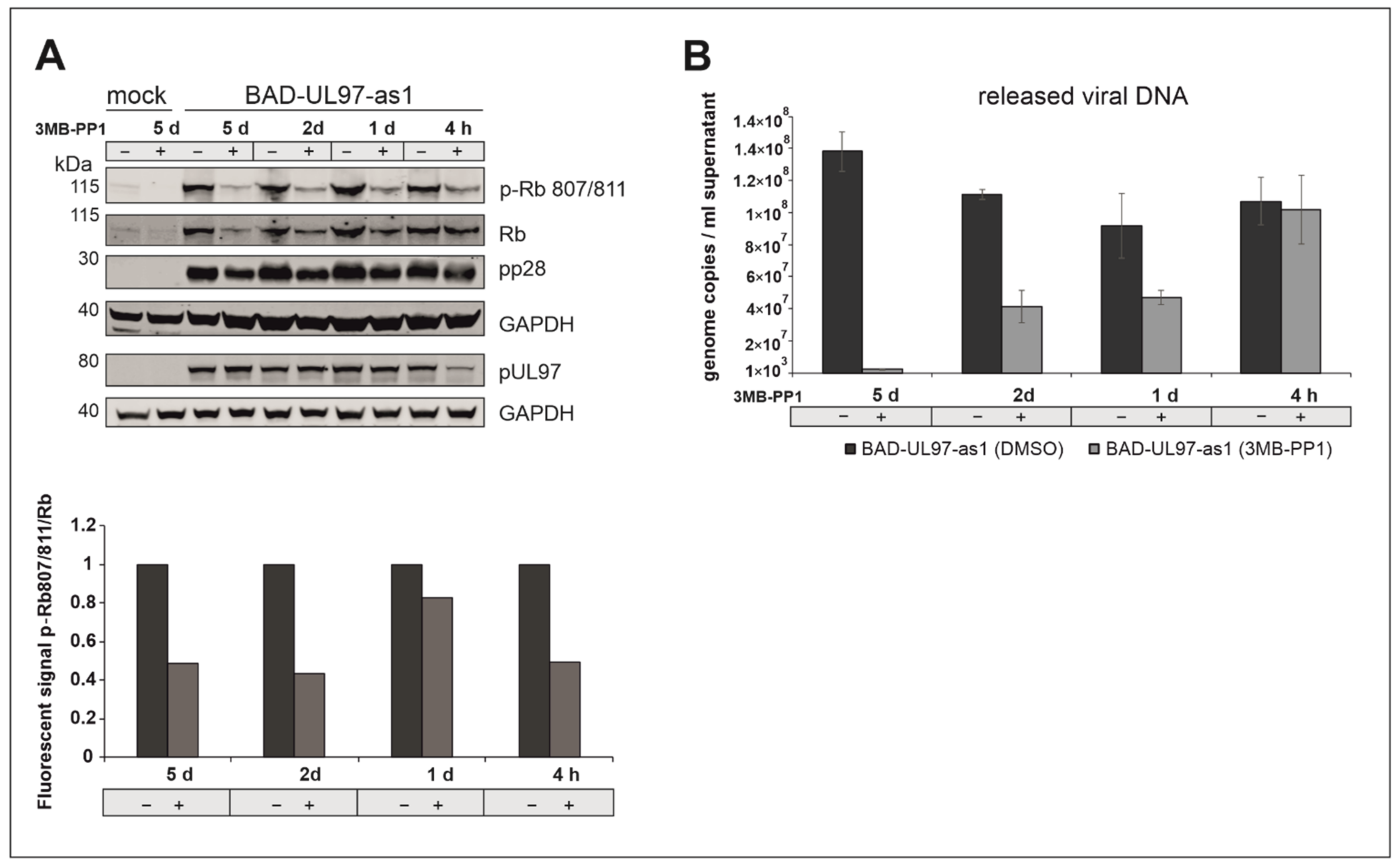 Viruses 14 02285 g005 Viruses 14 02285 g005