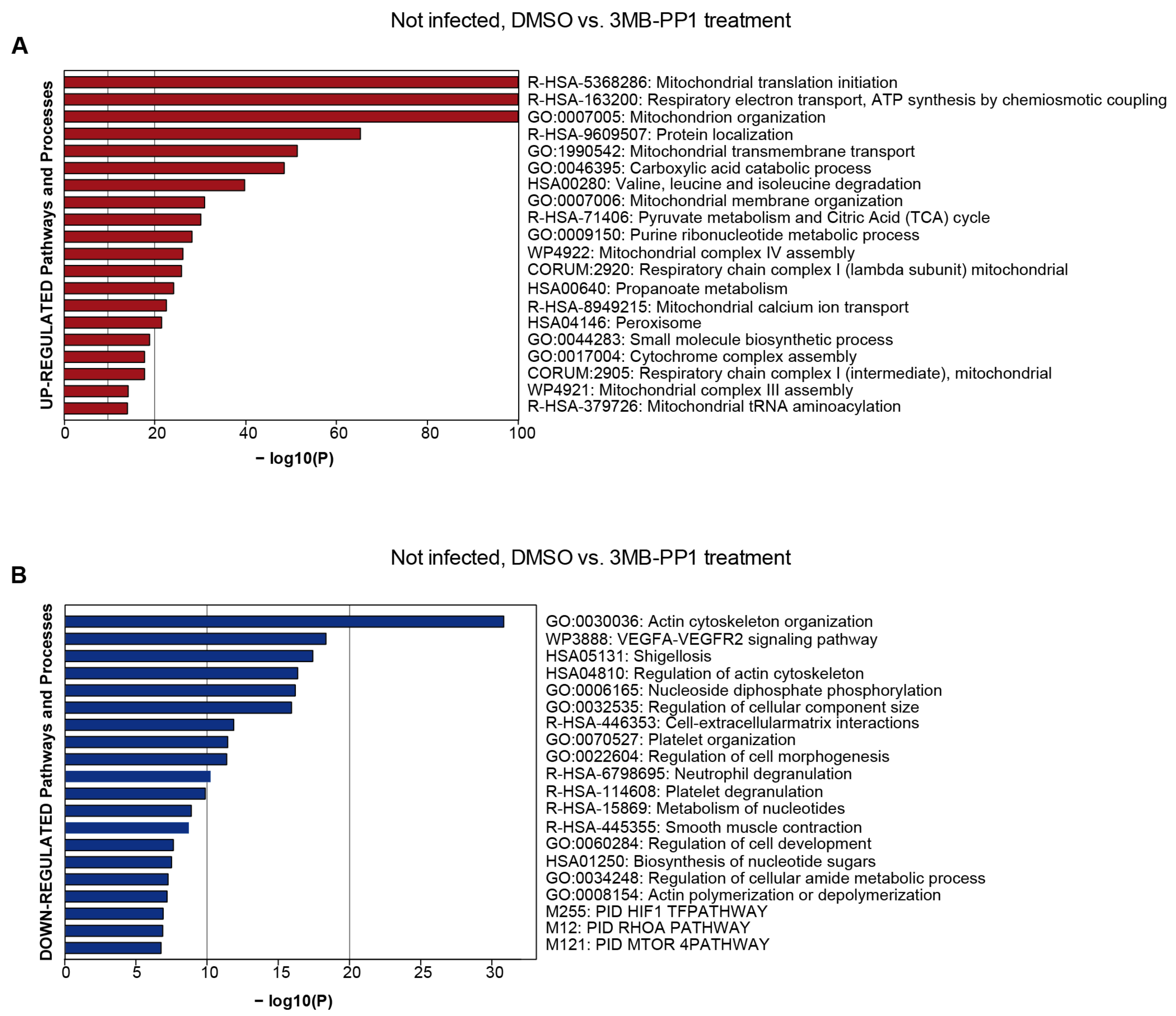 Viruses 14 02285 g006 Viruses 14 02285 g006