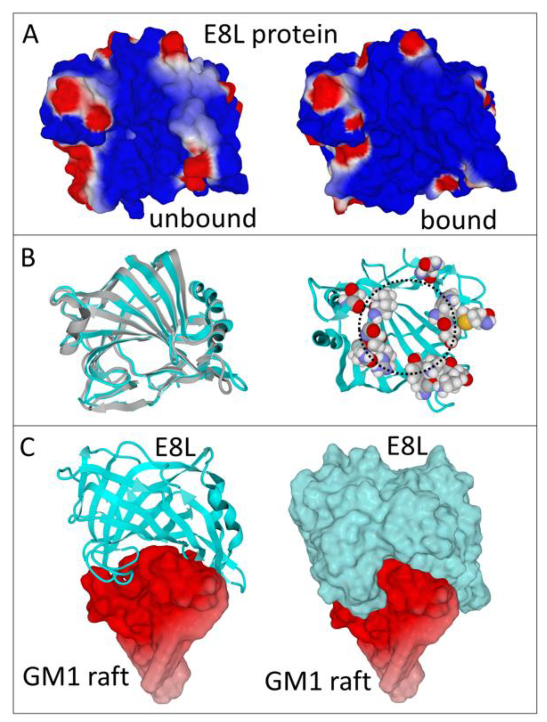 Viruses 14 02531 g001
