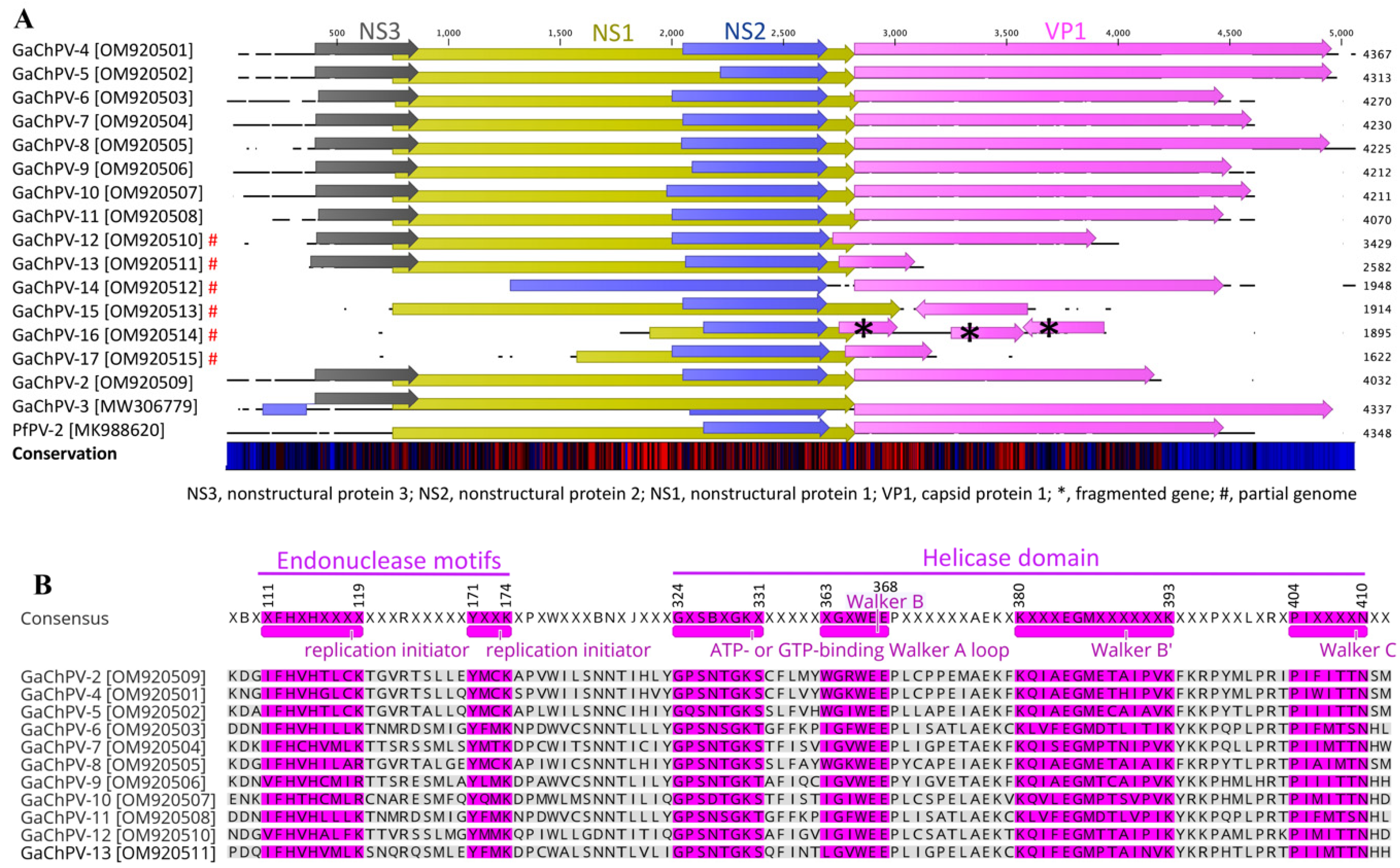 Viruses 14 02543 g003 Viruses 14 02543 g003