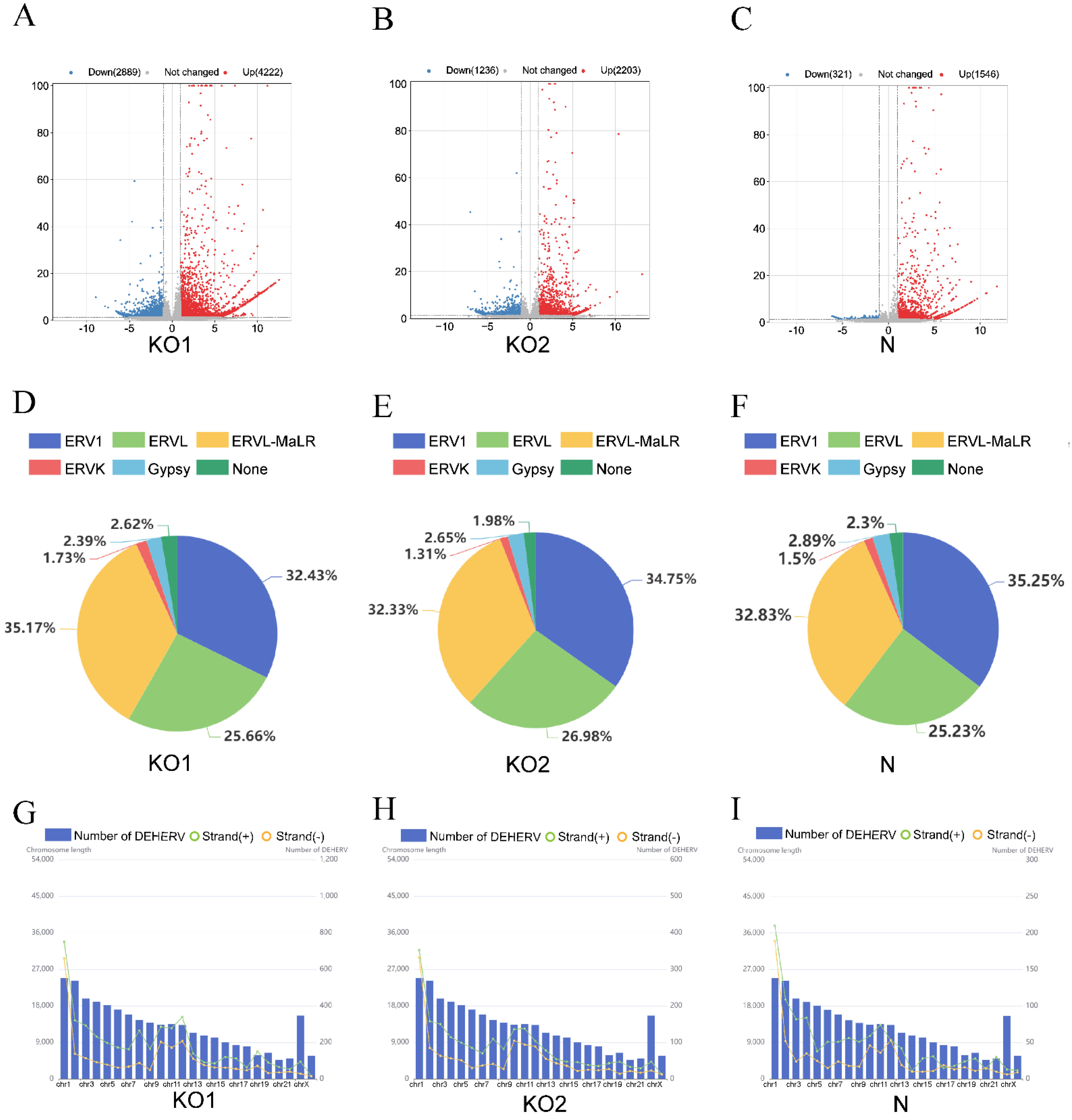 Viruses 15 00060 g002