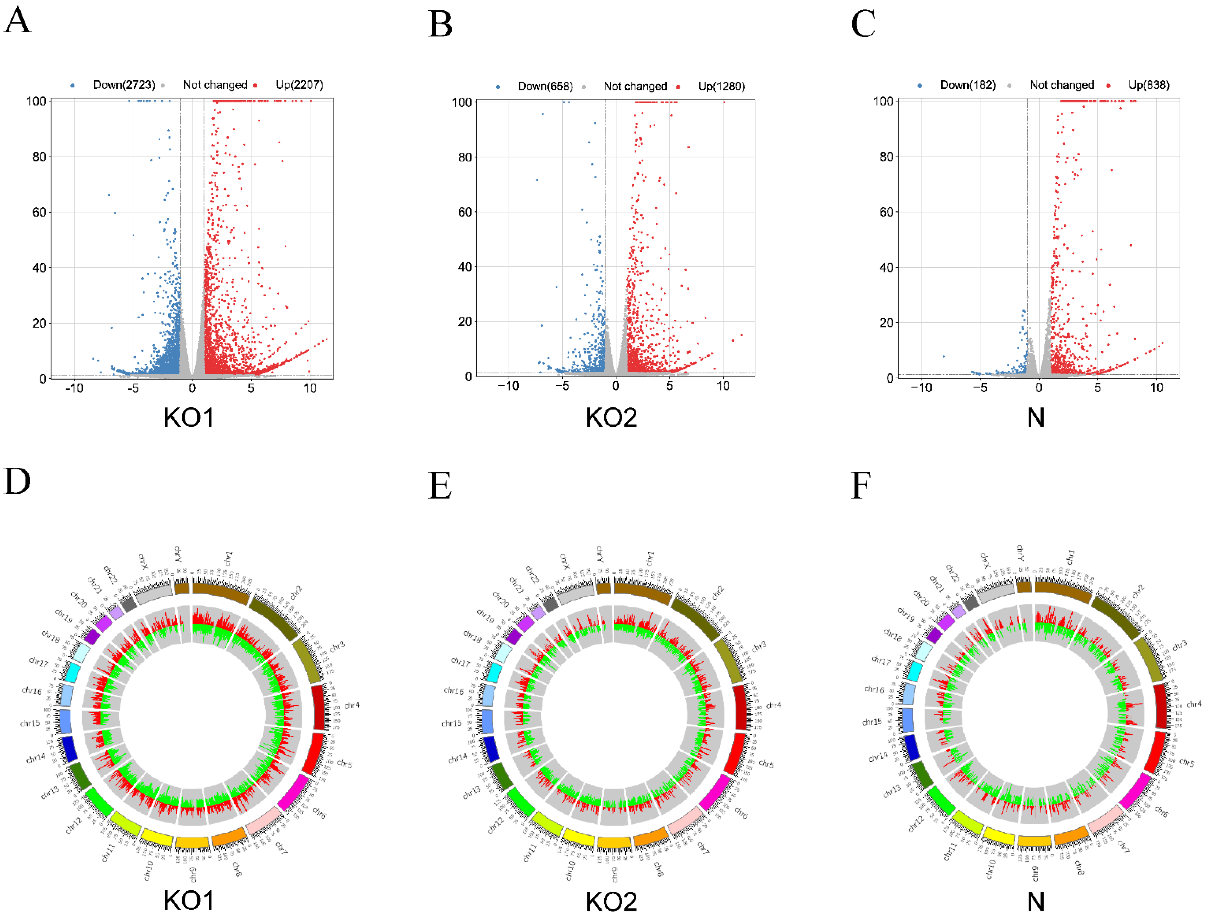 Viruses 15 00060 g003