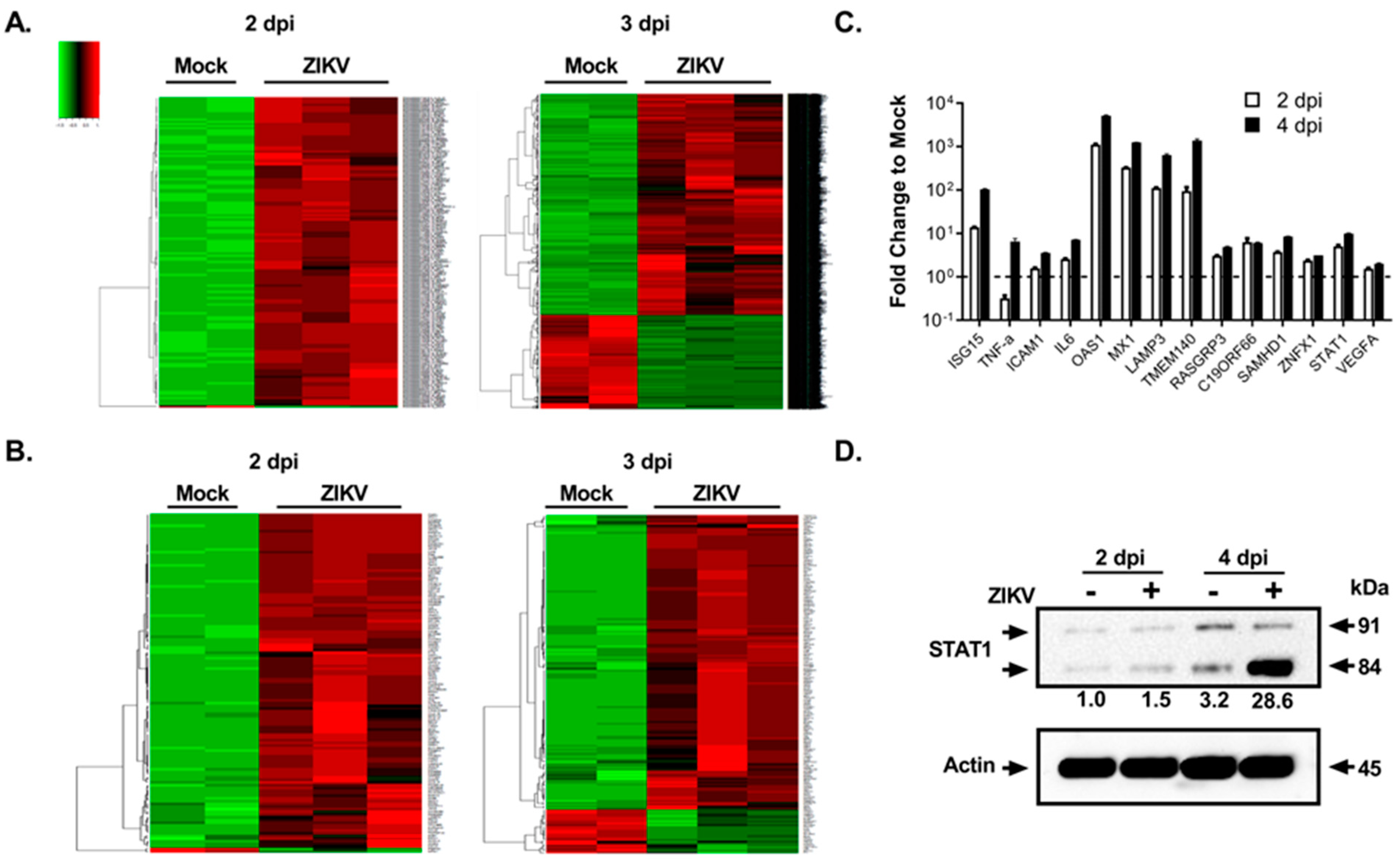 Viruses 15 00142 g002