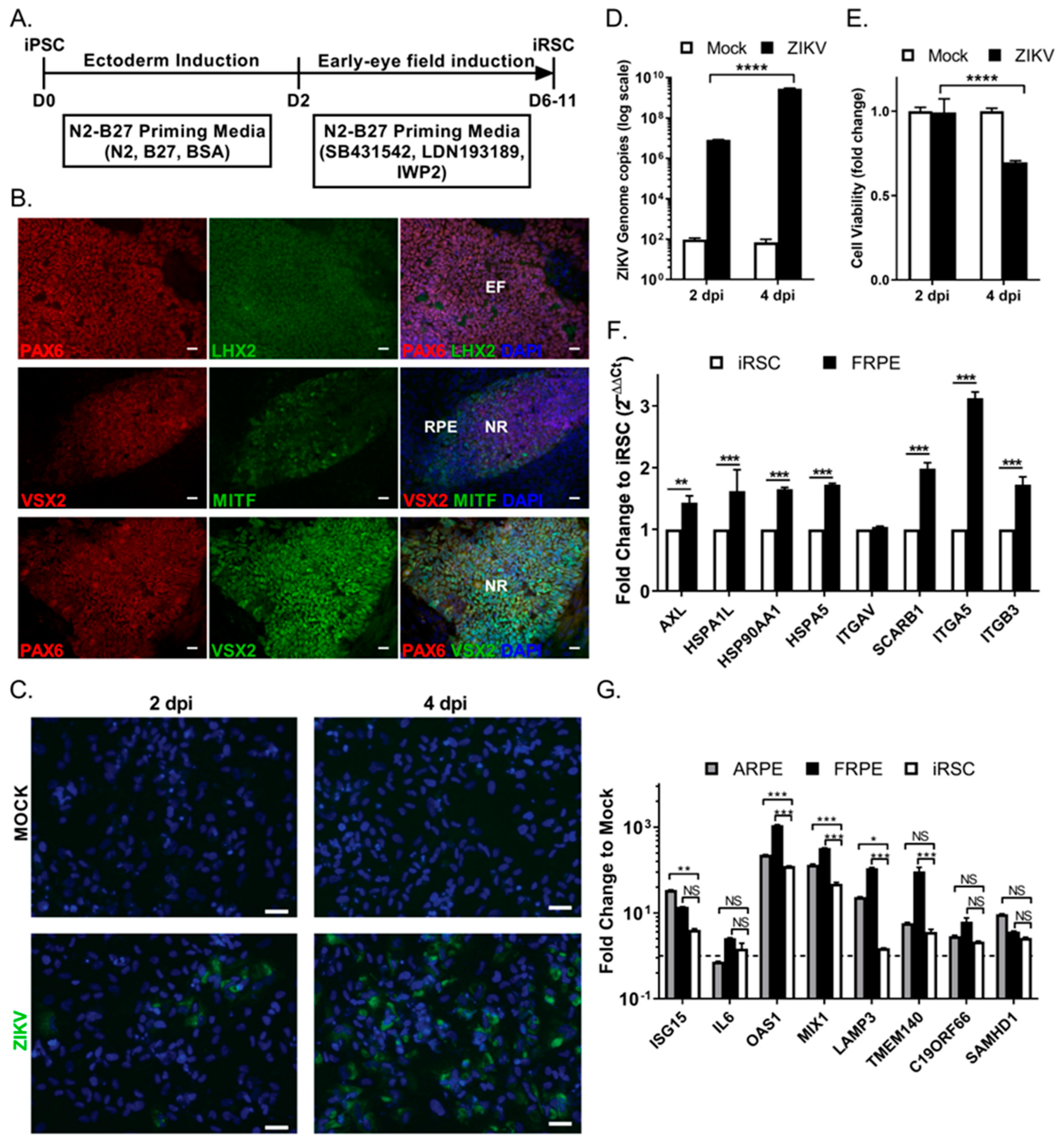 Viruses 15 00142 g005