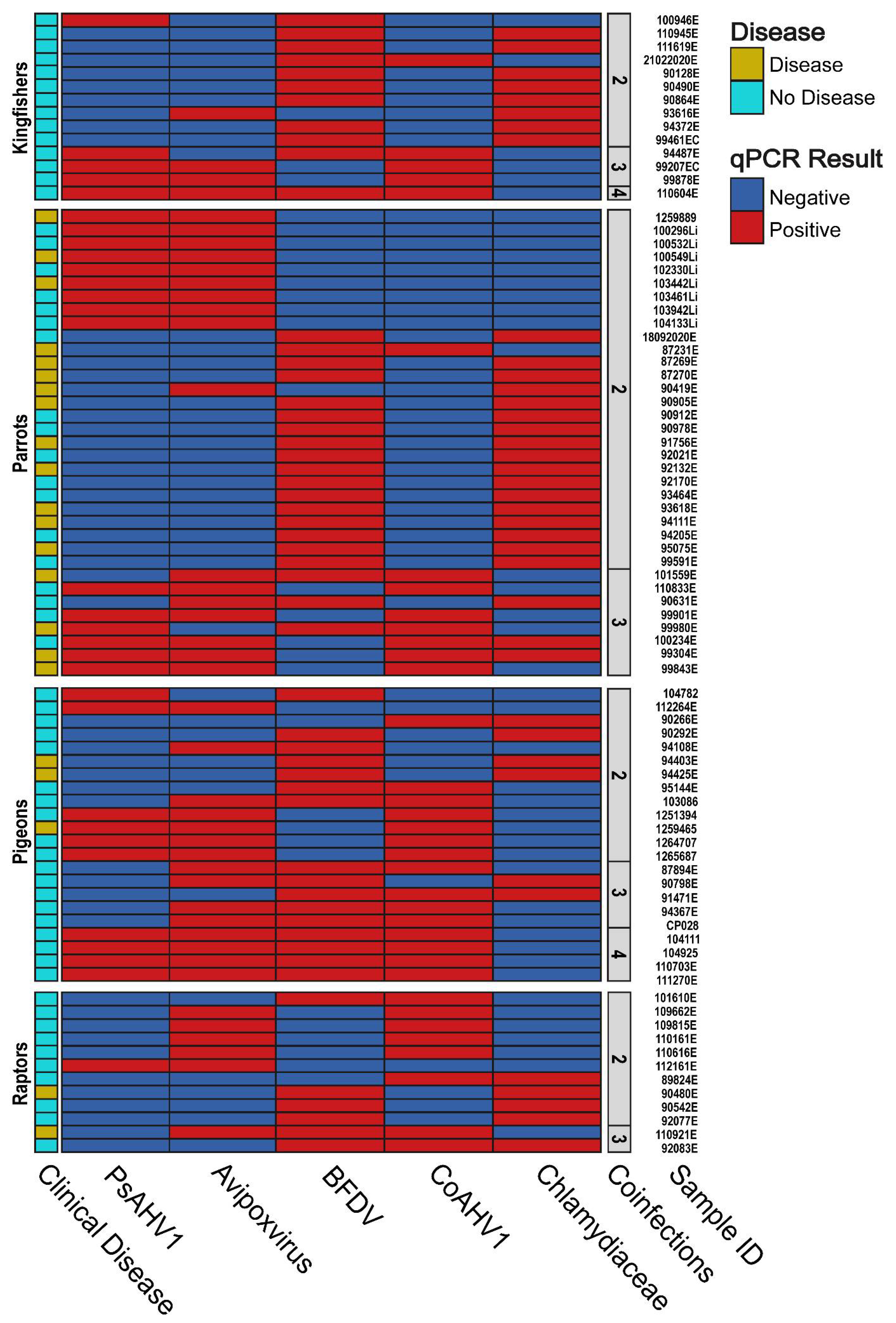 Viruses 15 00143 g003