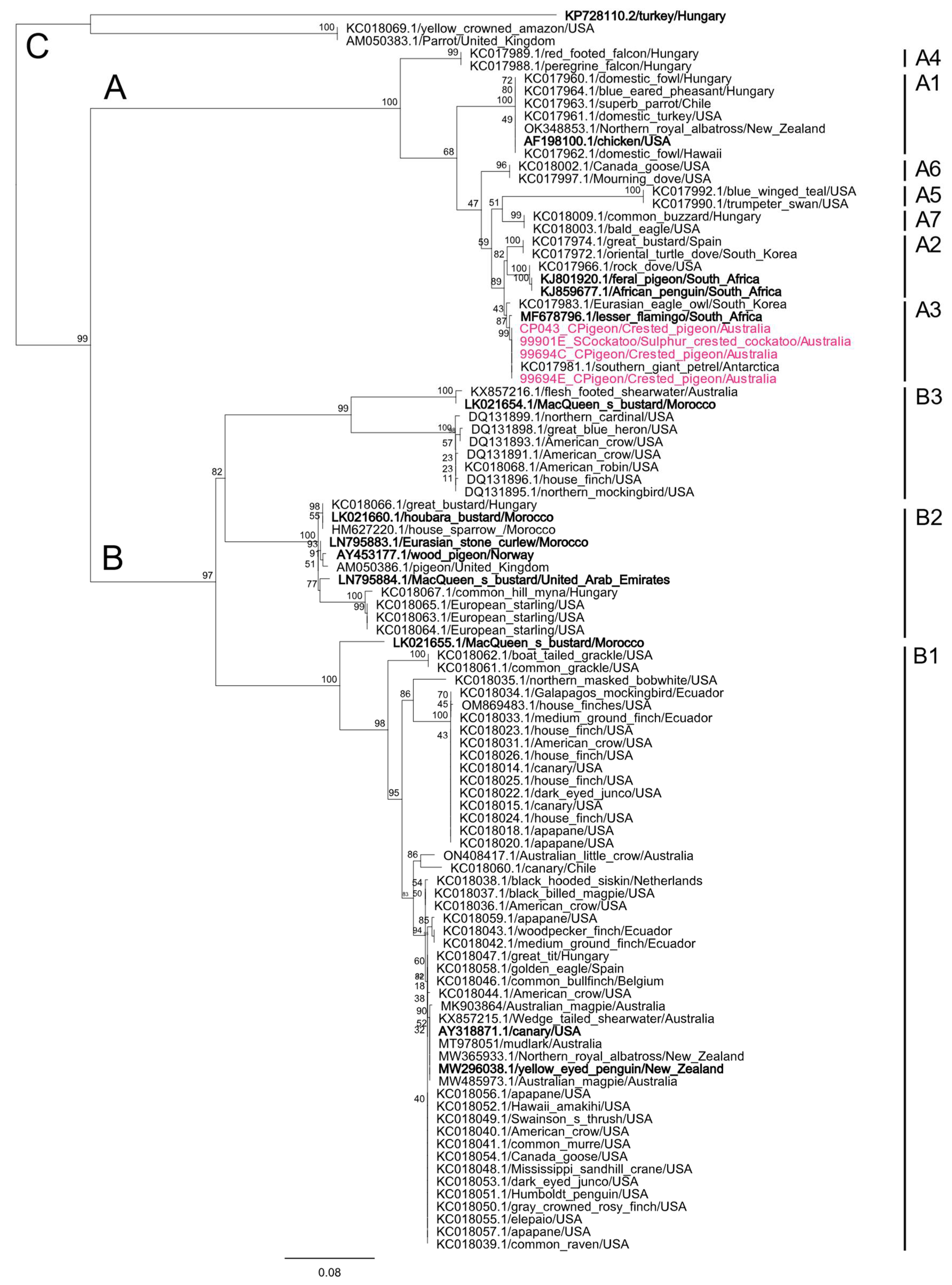 Viruses 15 00143 g005